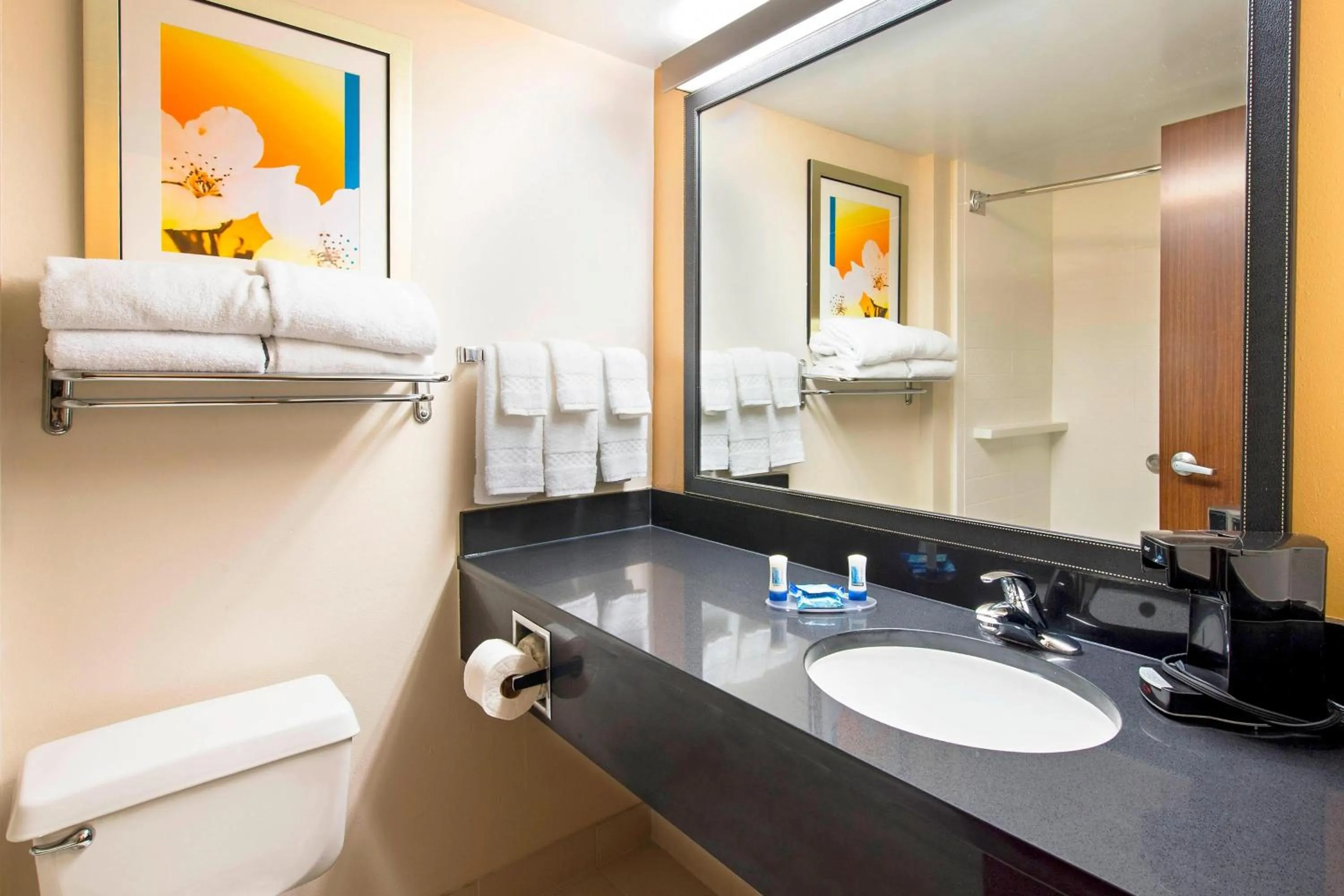 Bathroom in Rodeway Inn