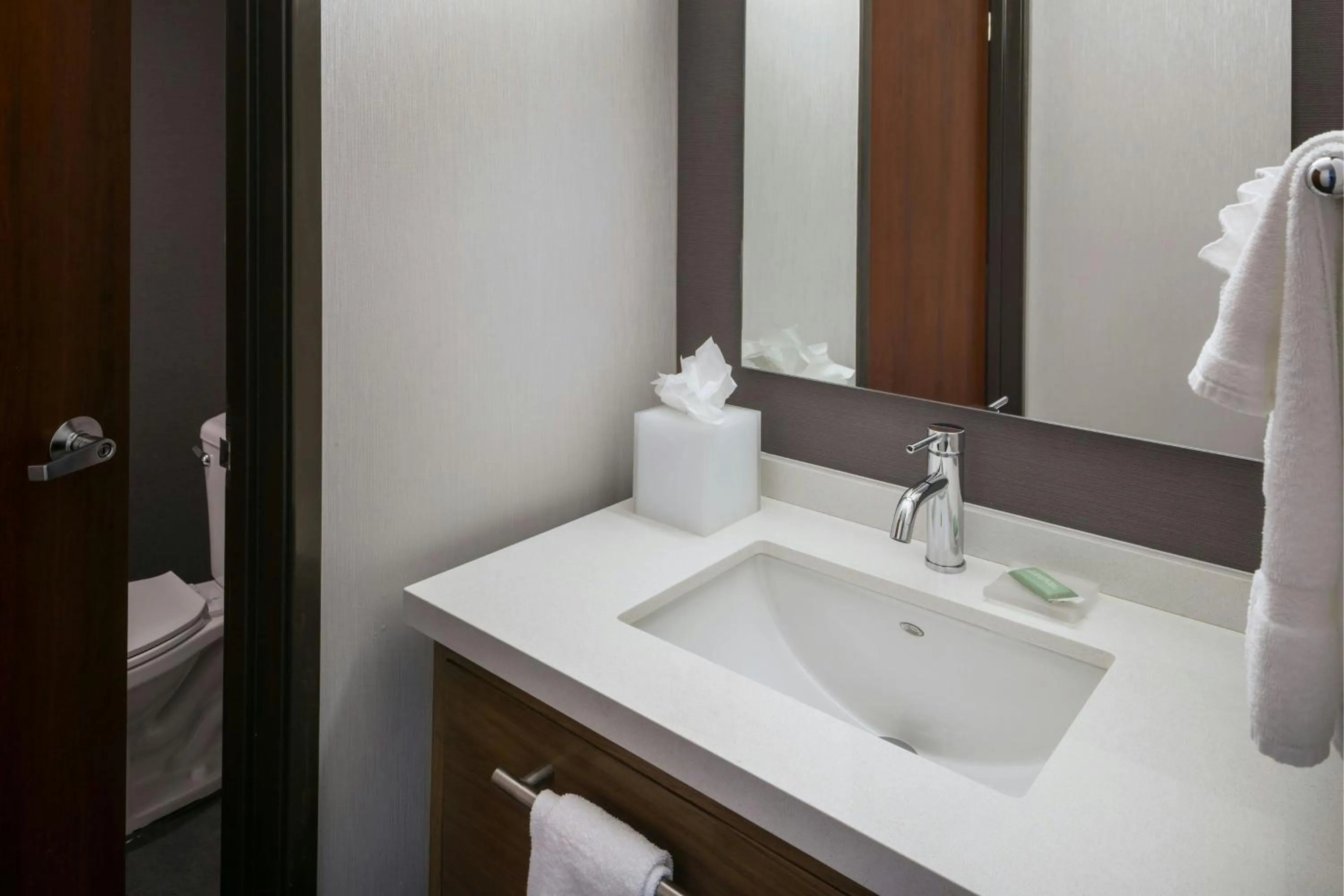 Bathroom in Courtyard Richland Columbia Point