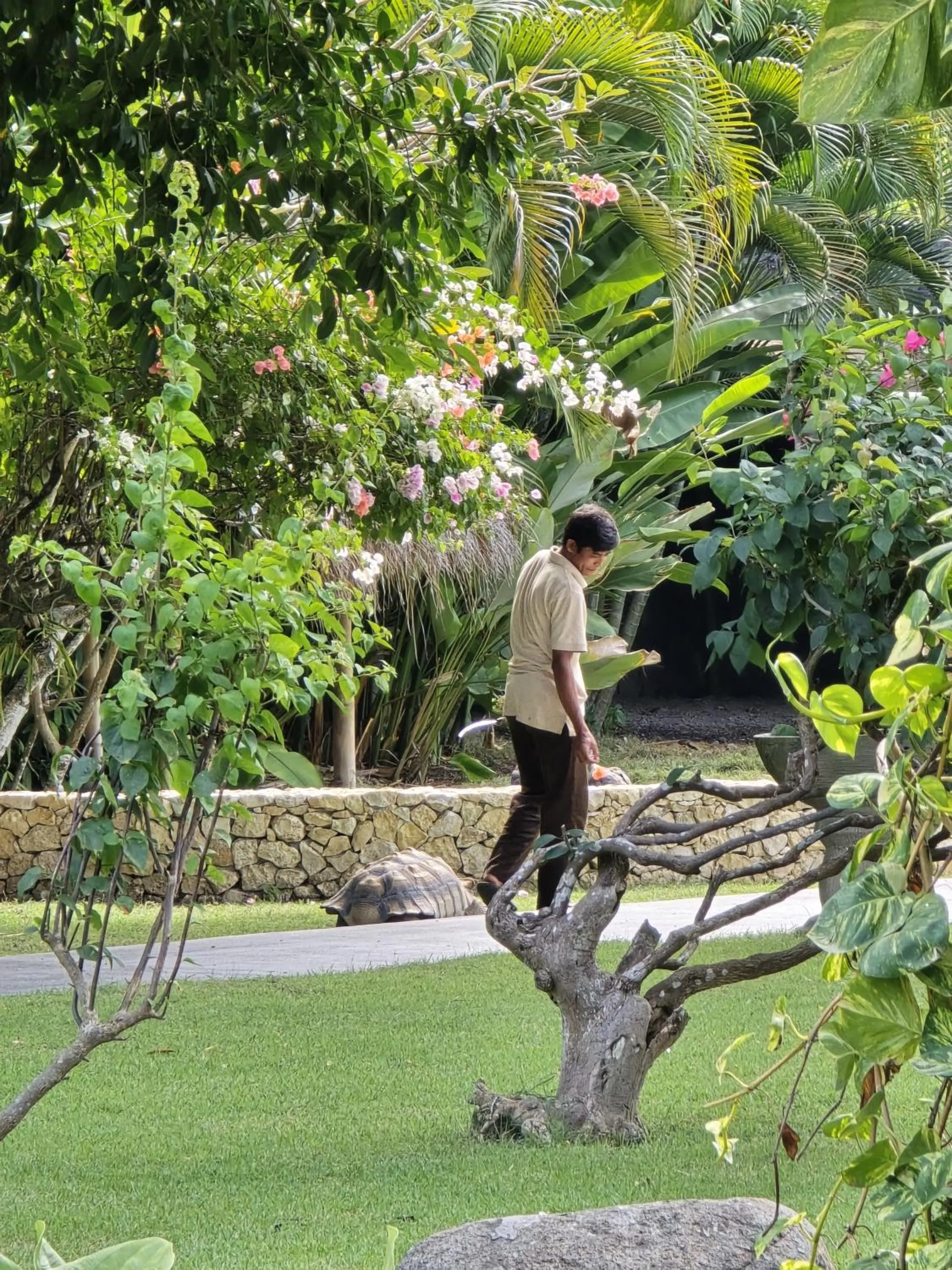 Property building in Jivana Resort