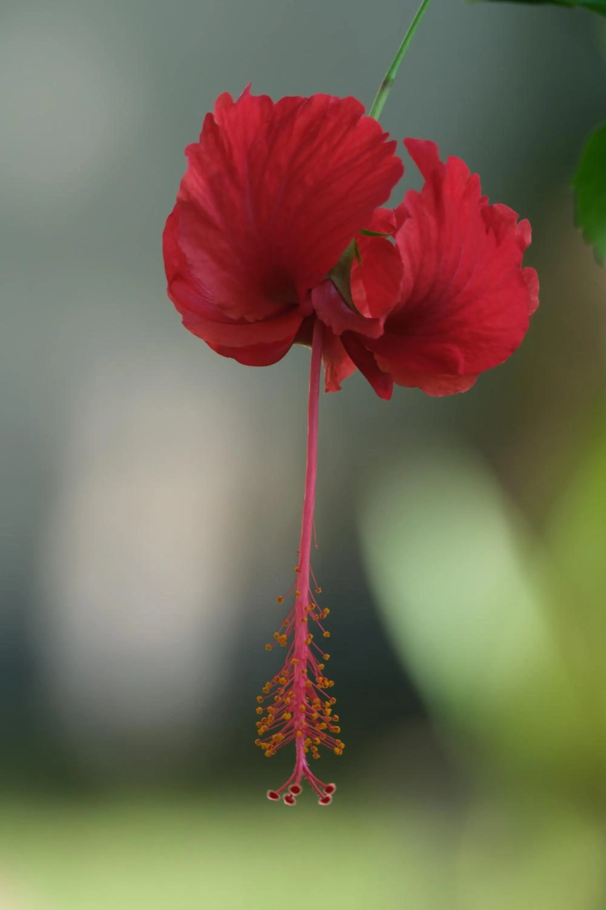 Property building in Jivana Resort