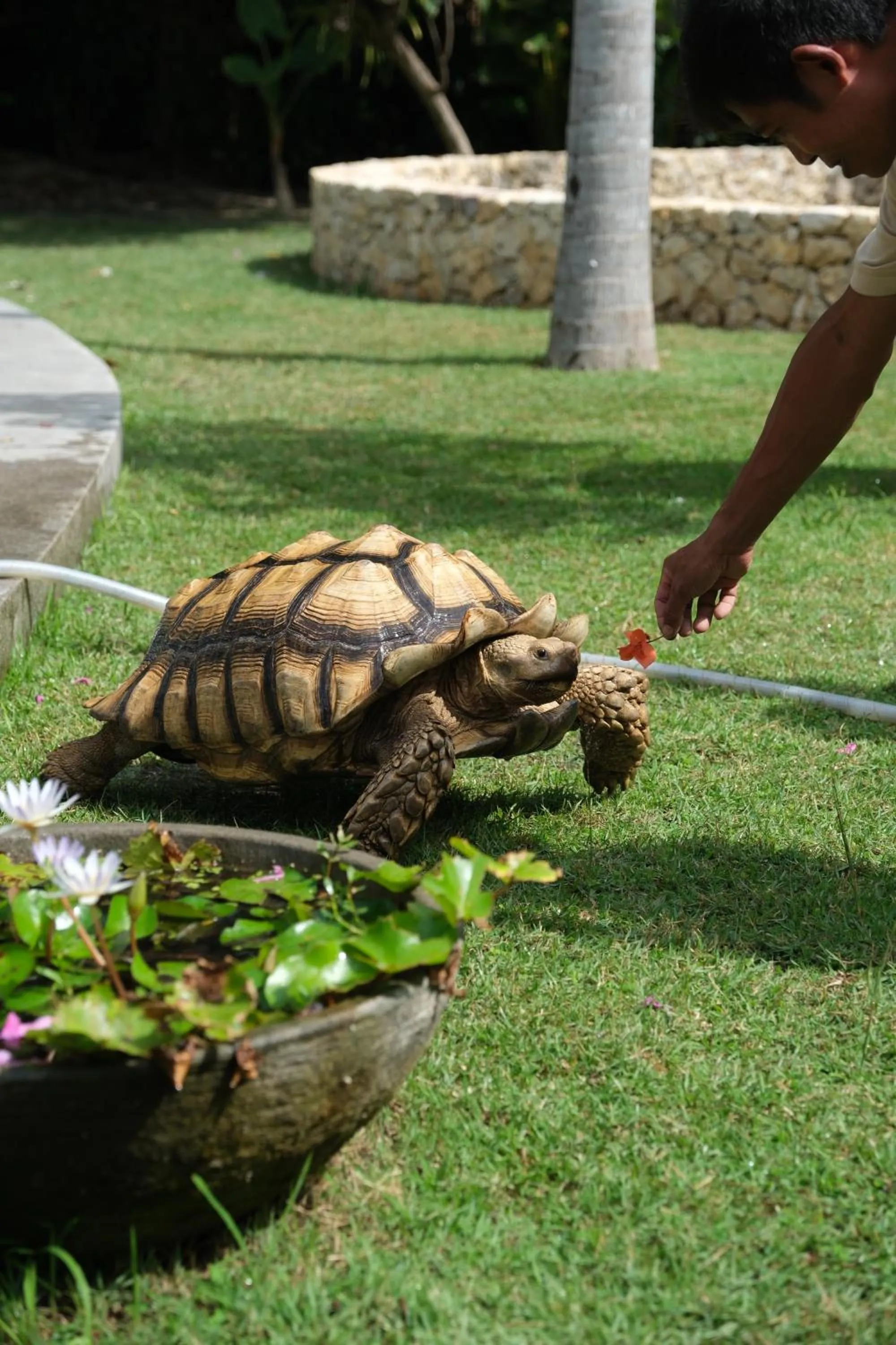 Property building in Jivana Resort