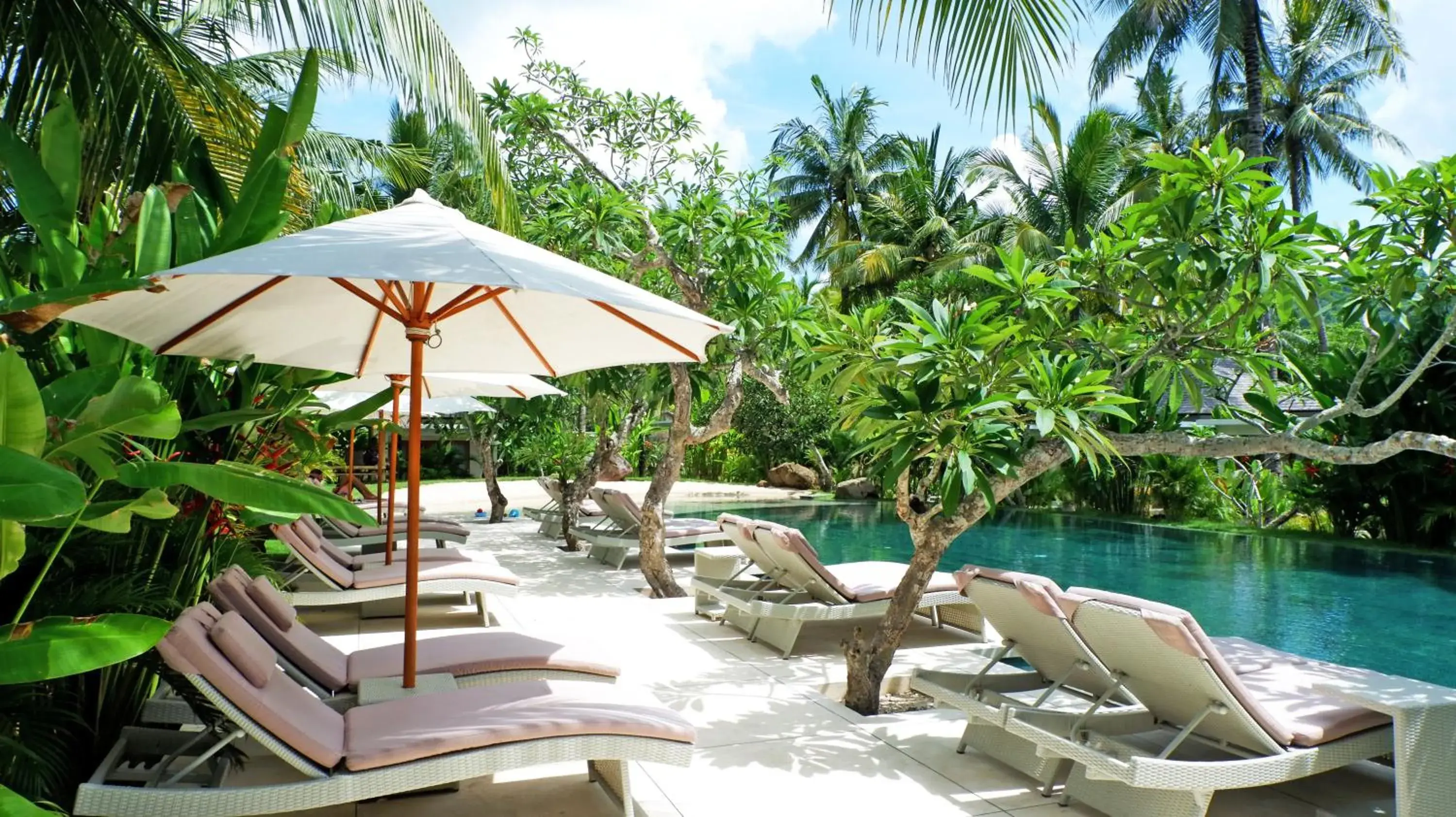 Pool view in Jivana Resort Pool view in Jivana Resort