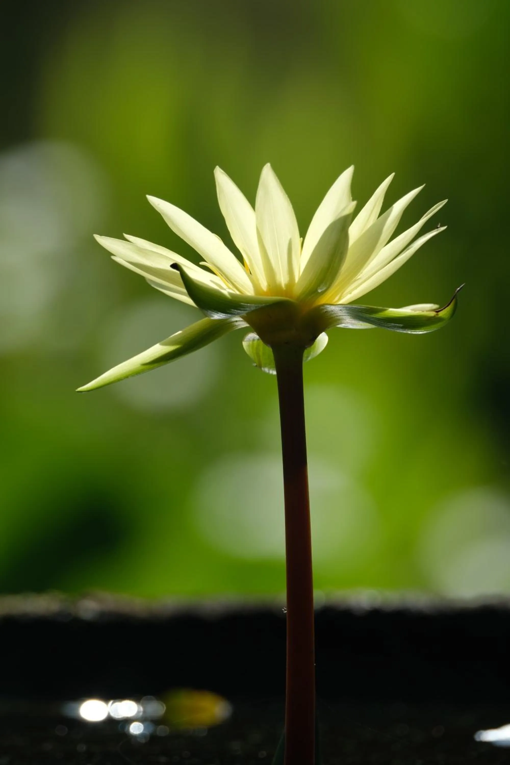 Property building in Jivana Resort