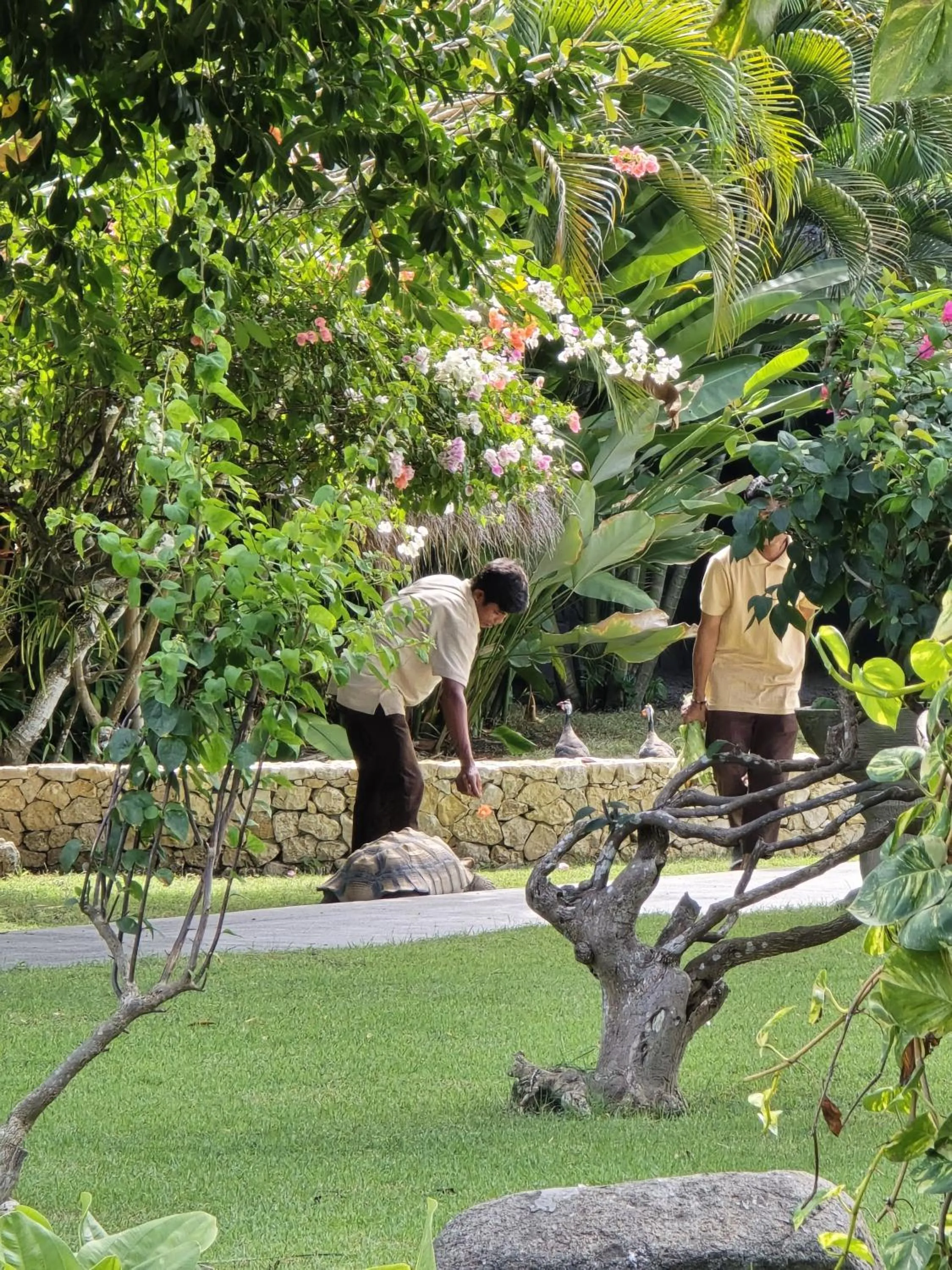 Property building in Jivana Resort