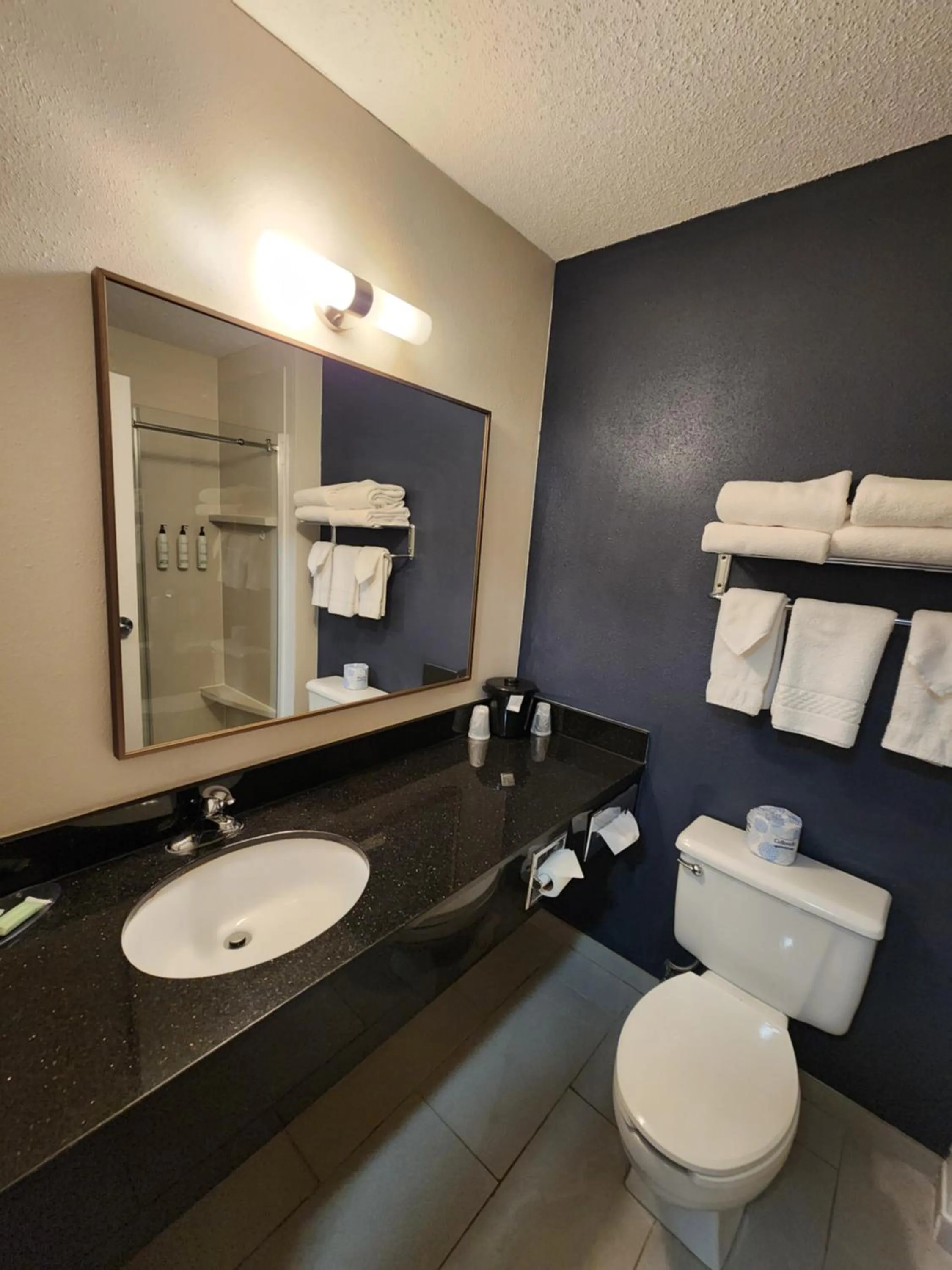 Toilet in Fairfield Inn & Suites by Marriott Spearfish