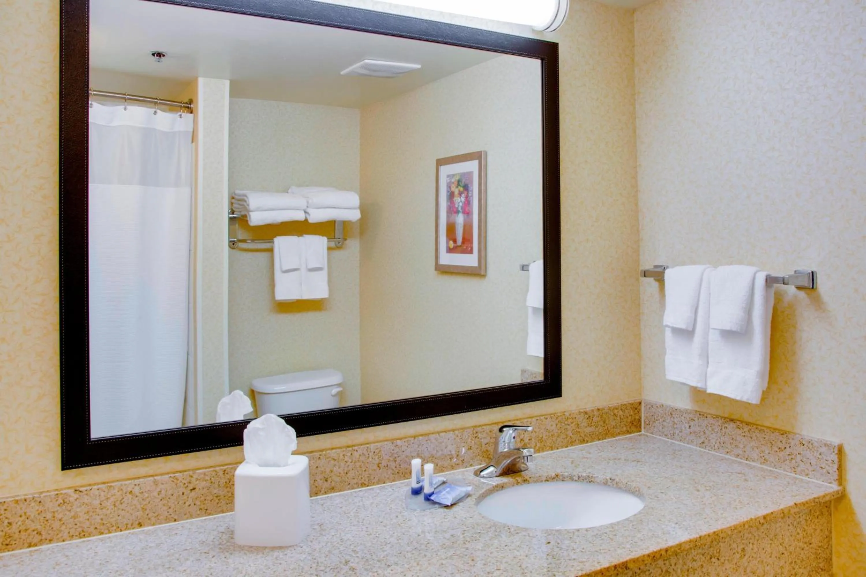 Bathroom in Fairfield Inn and Suites South Hill I-85