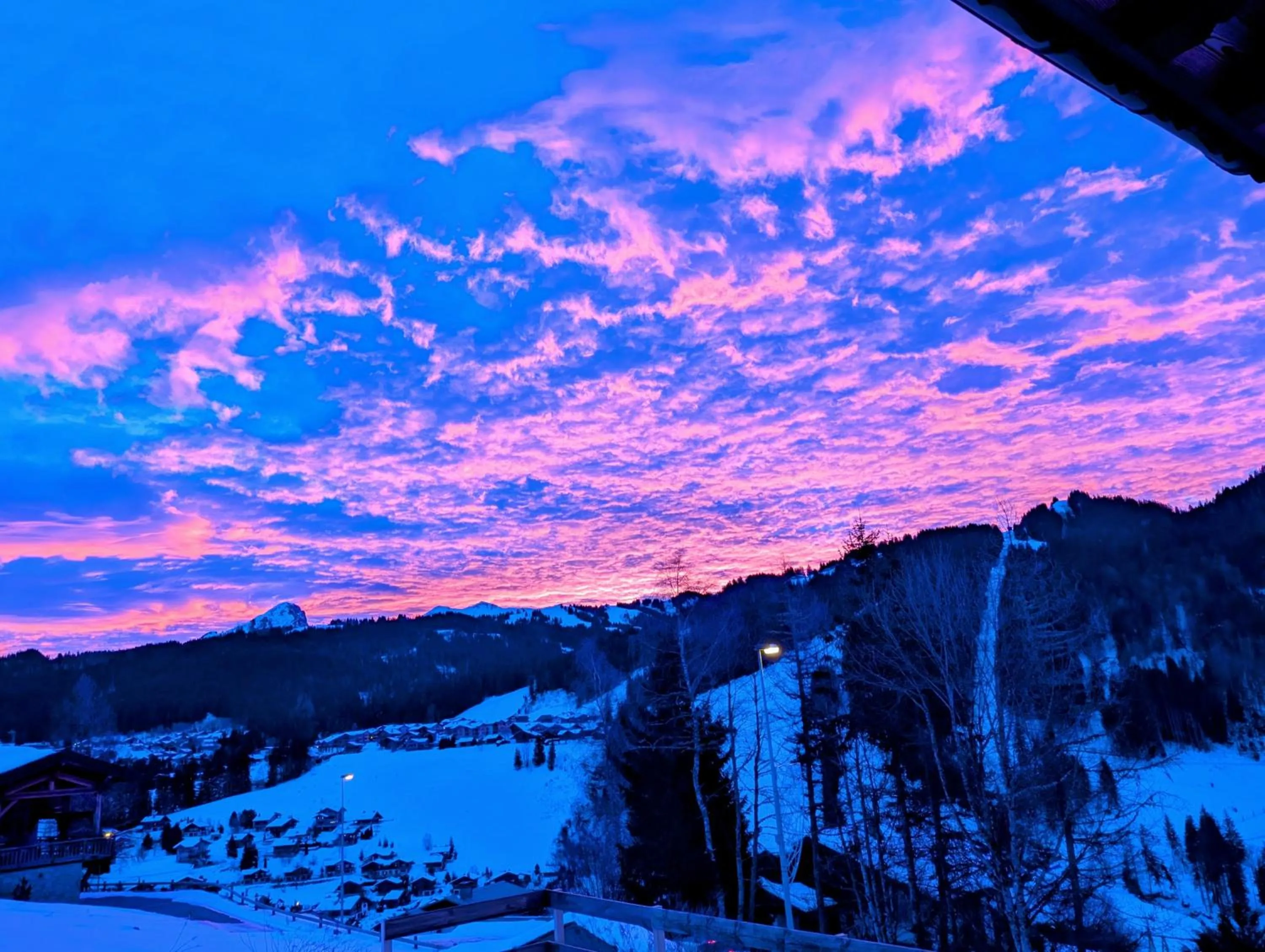 Chalet Camomille