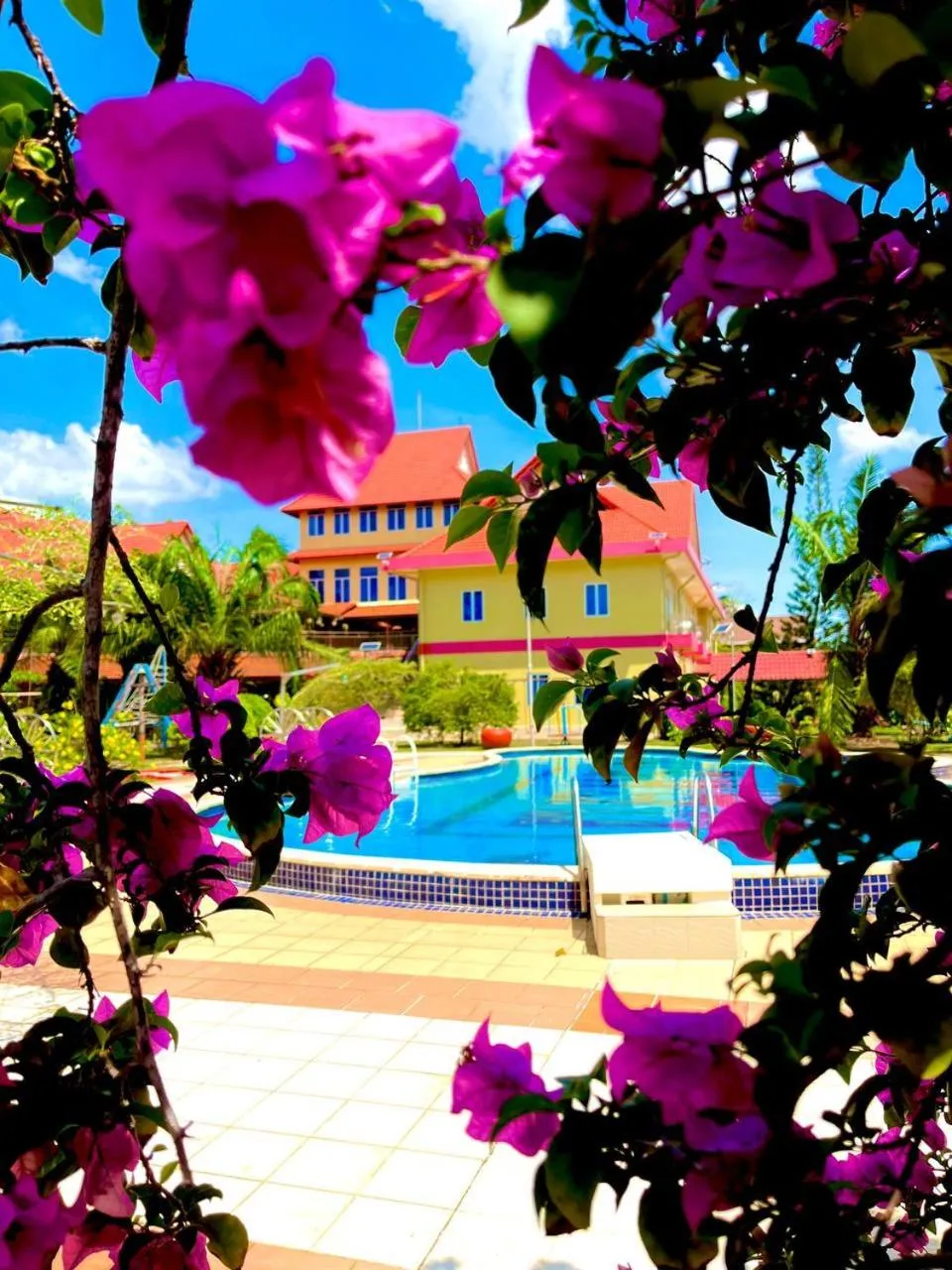 Garden in Don Bosco Hotel School