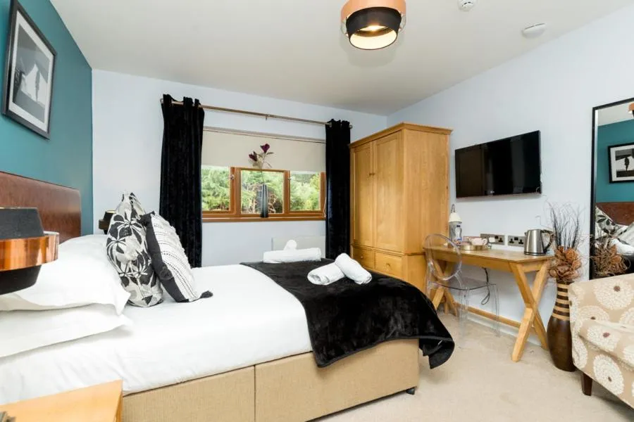 Photo of the whole room, Bed in The Gower Hotel