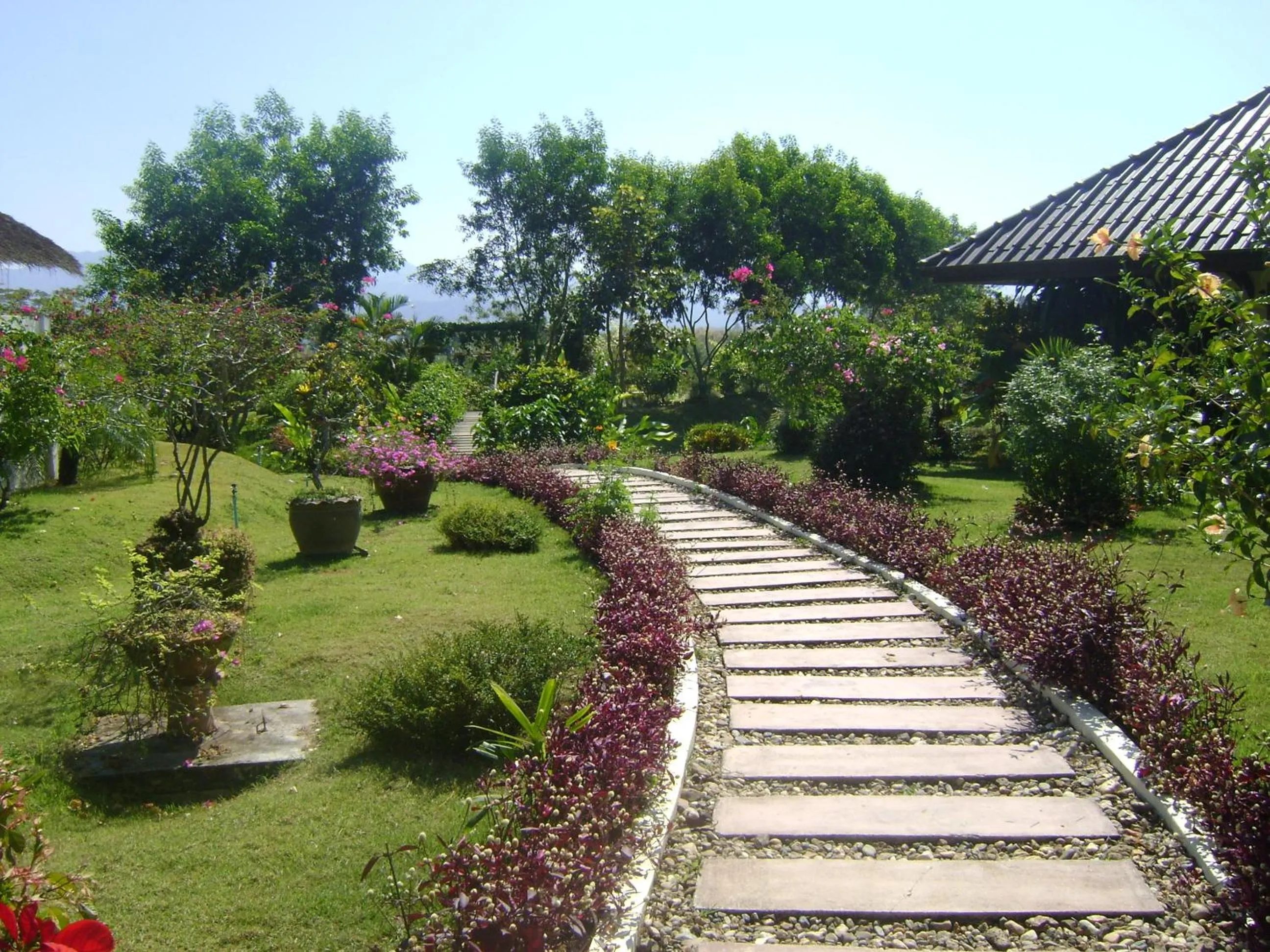 Other in Maekok River Village Resort