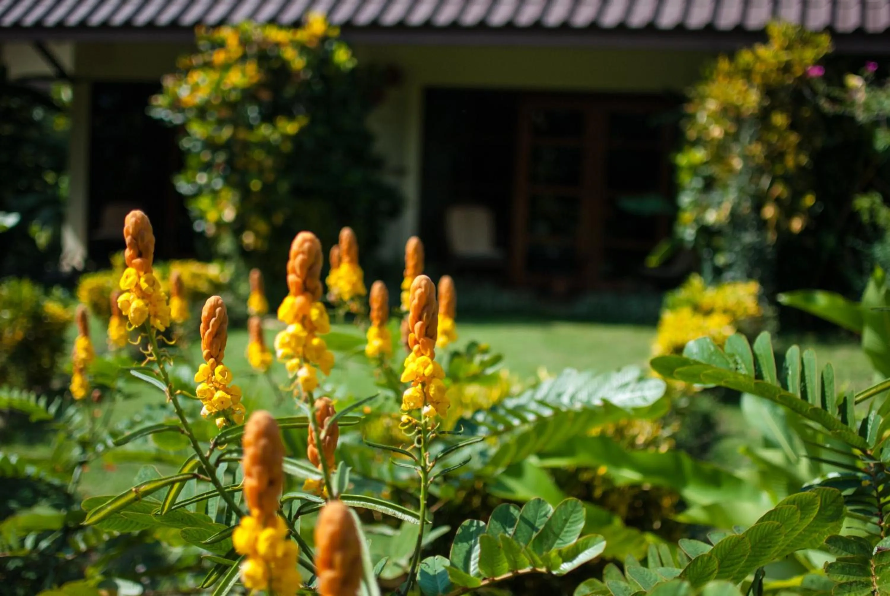 Other in Maekok River Village Resort
