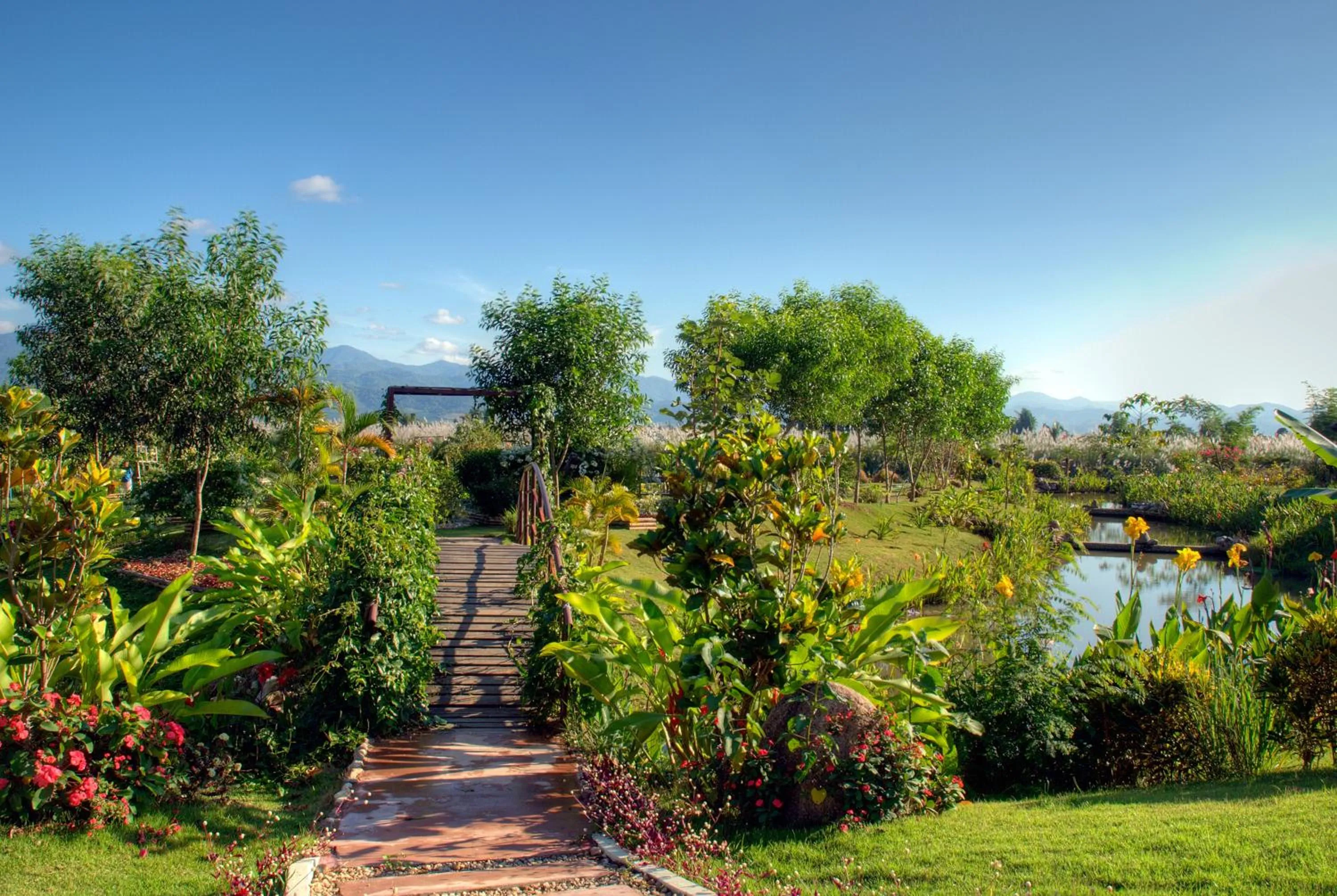 Activities in Maekok River Village Resort