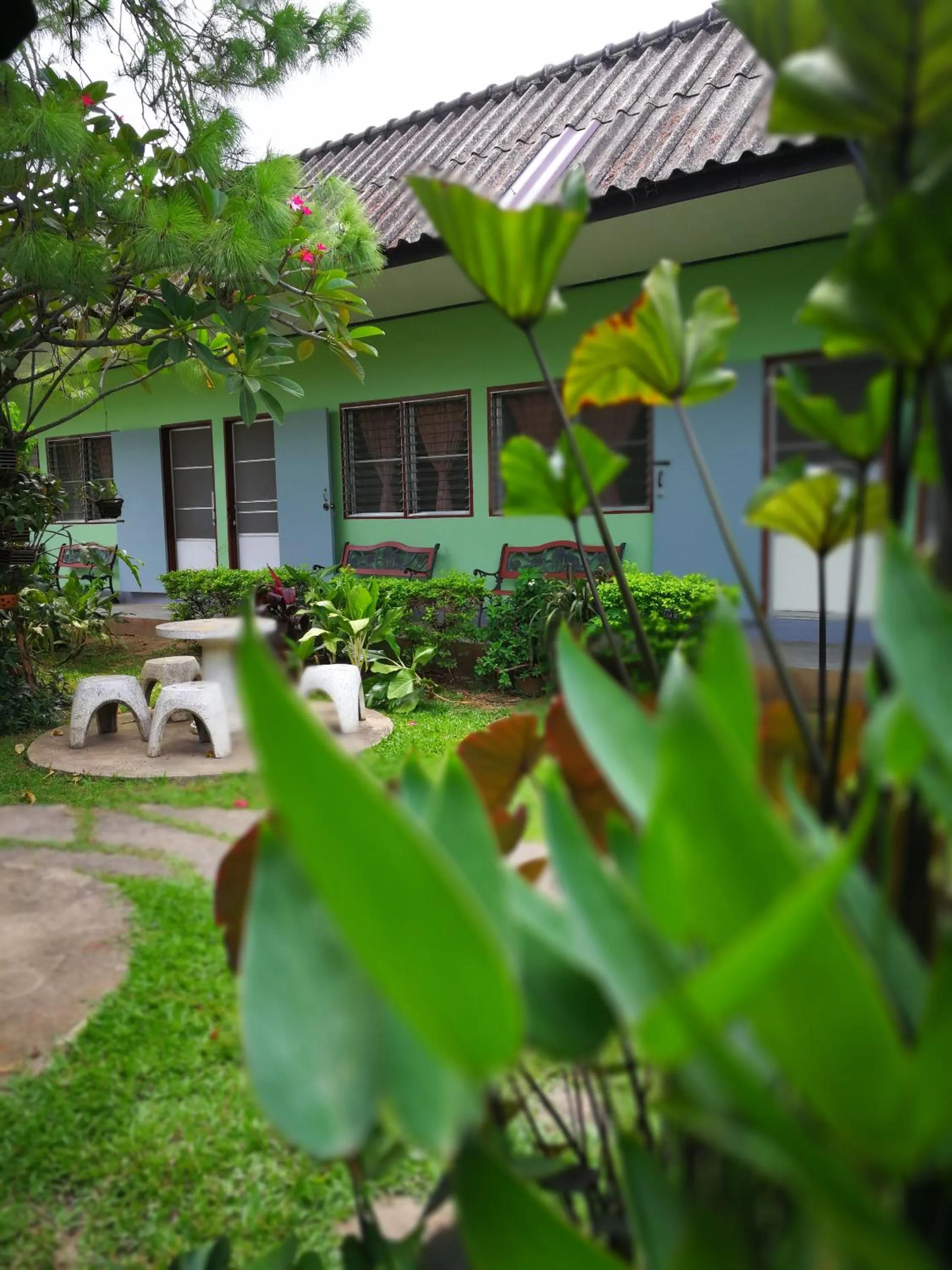 Garden in Baan Bua Guest House