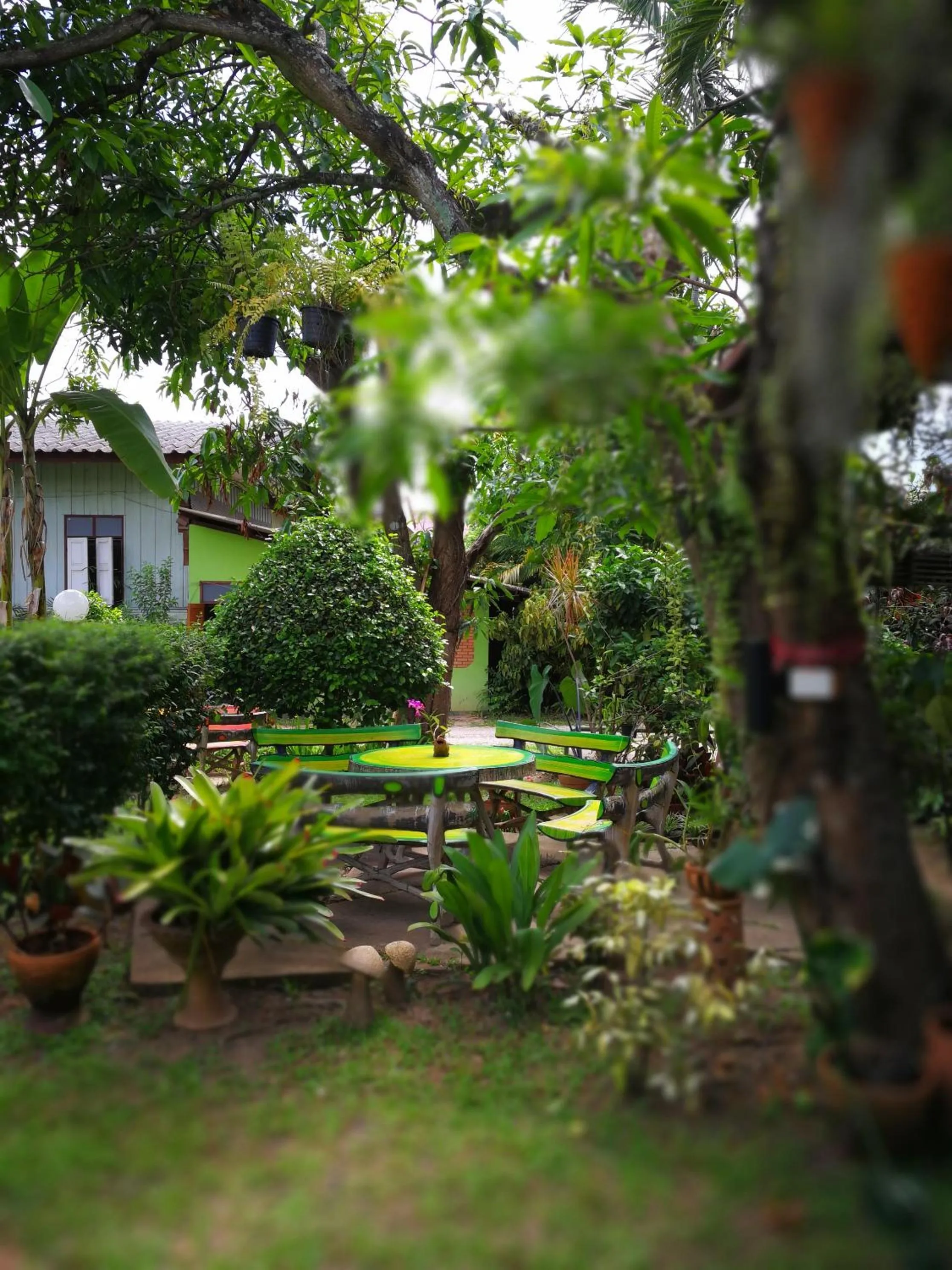 Garden in Baan Bua Guest House