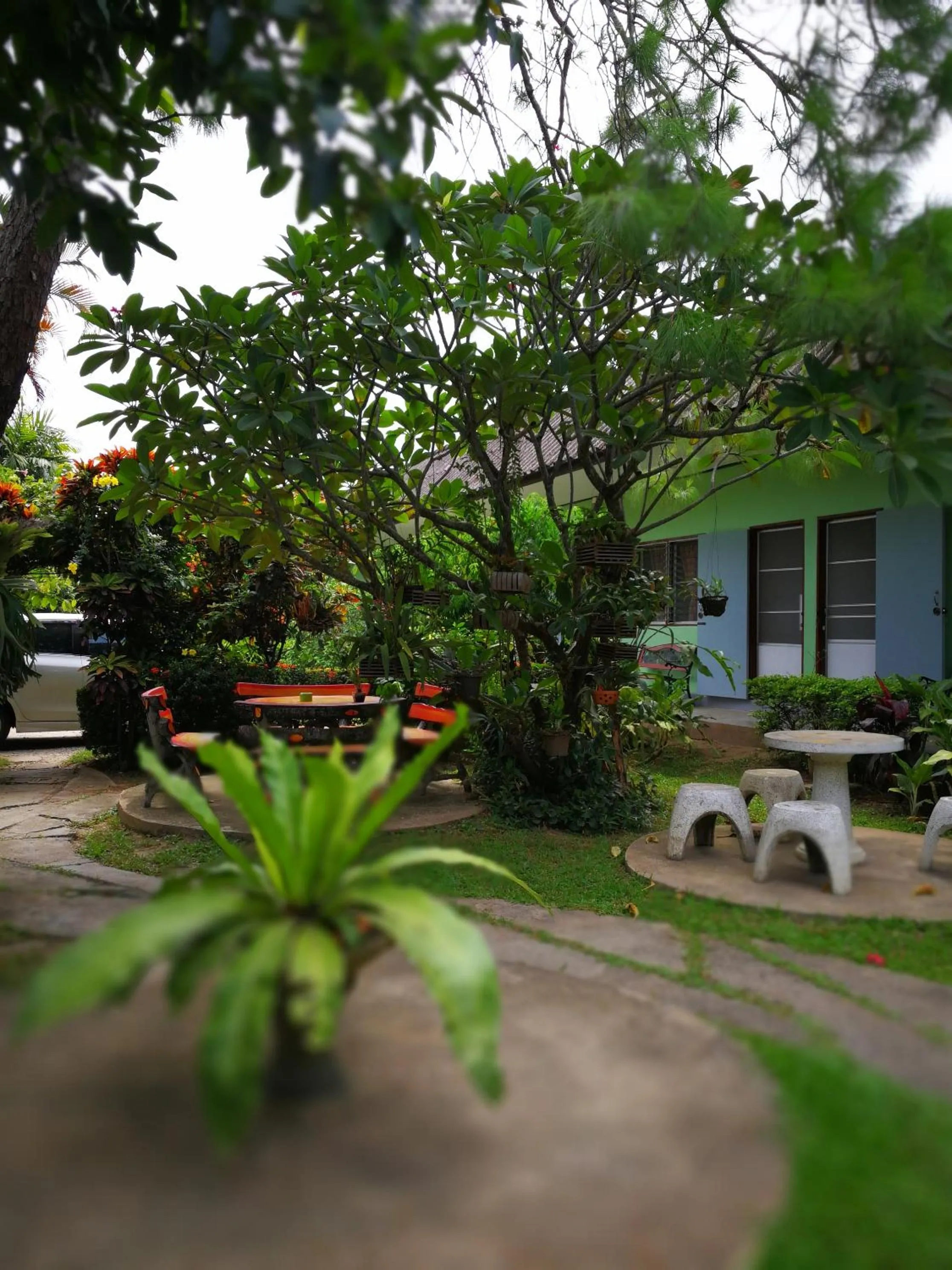 Garden in Baan Bua Guest House