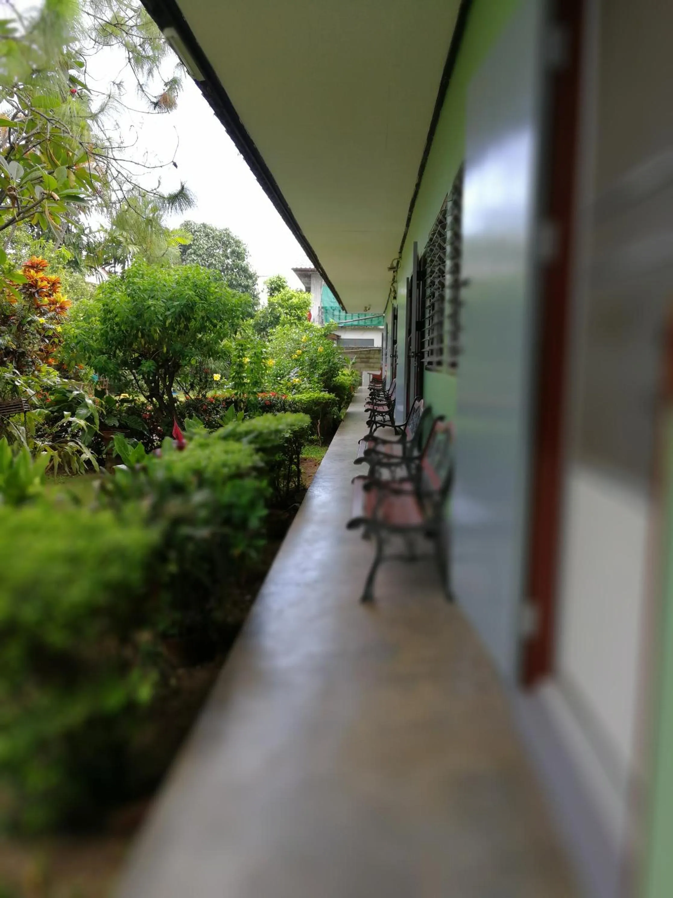 Balcony/Terrace in Baan Bua Guest House