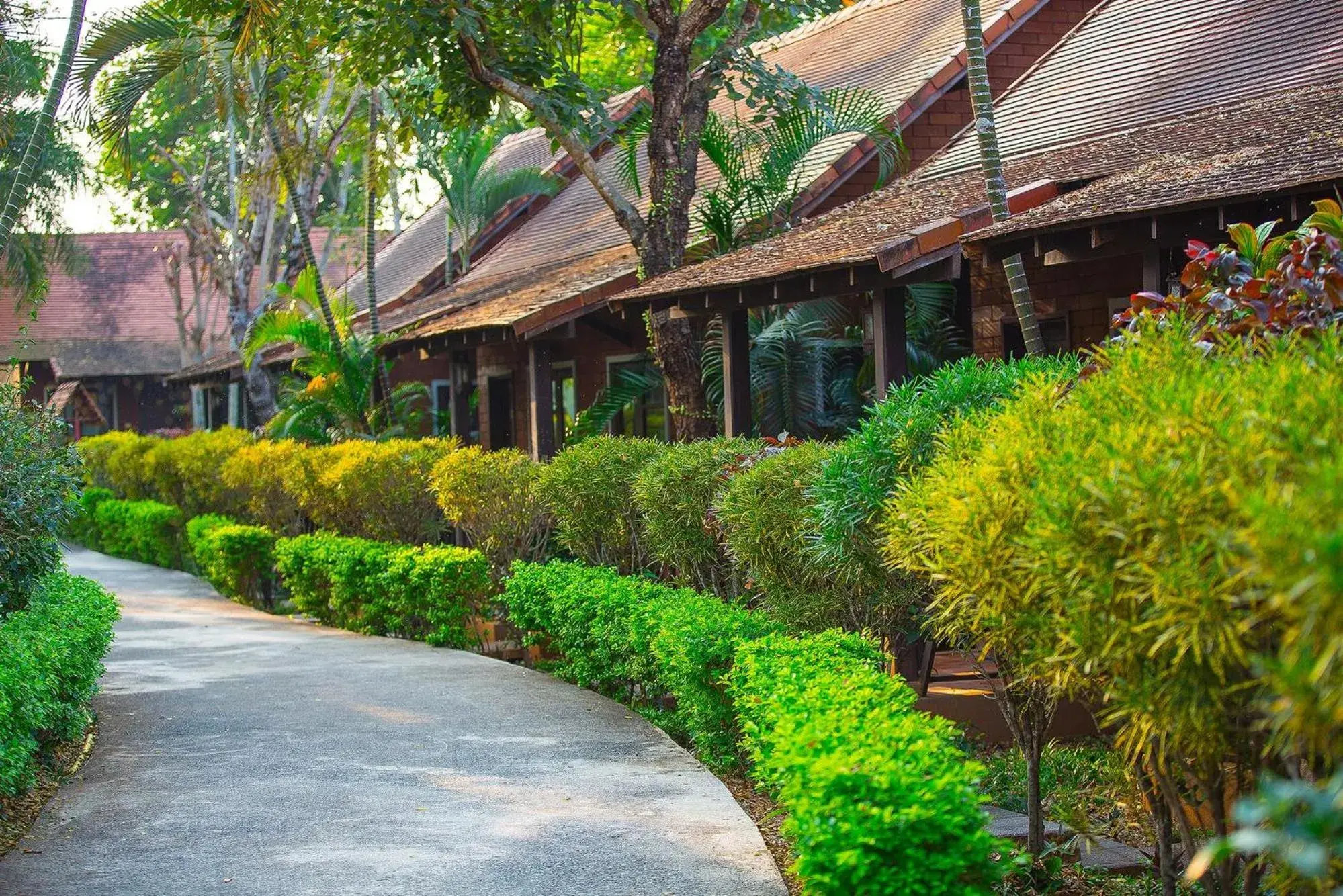 Facade/entrance in Golden Pine Resort and Spa Facade/entrance in Golden Pine Resort and Spa