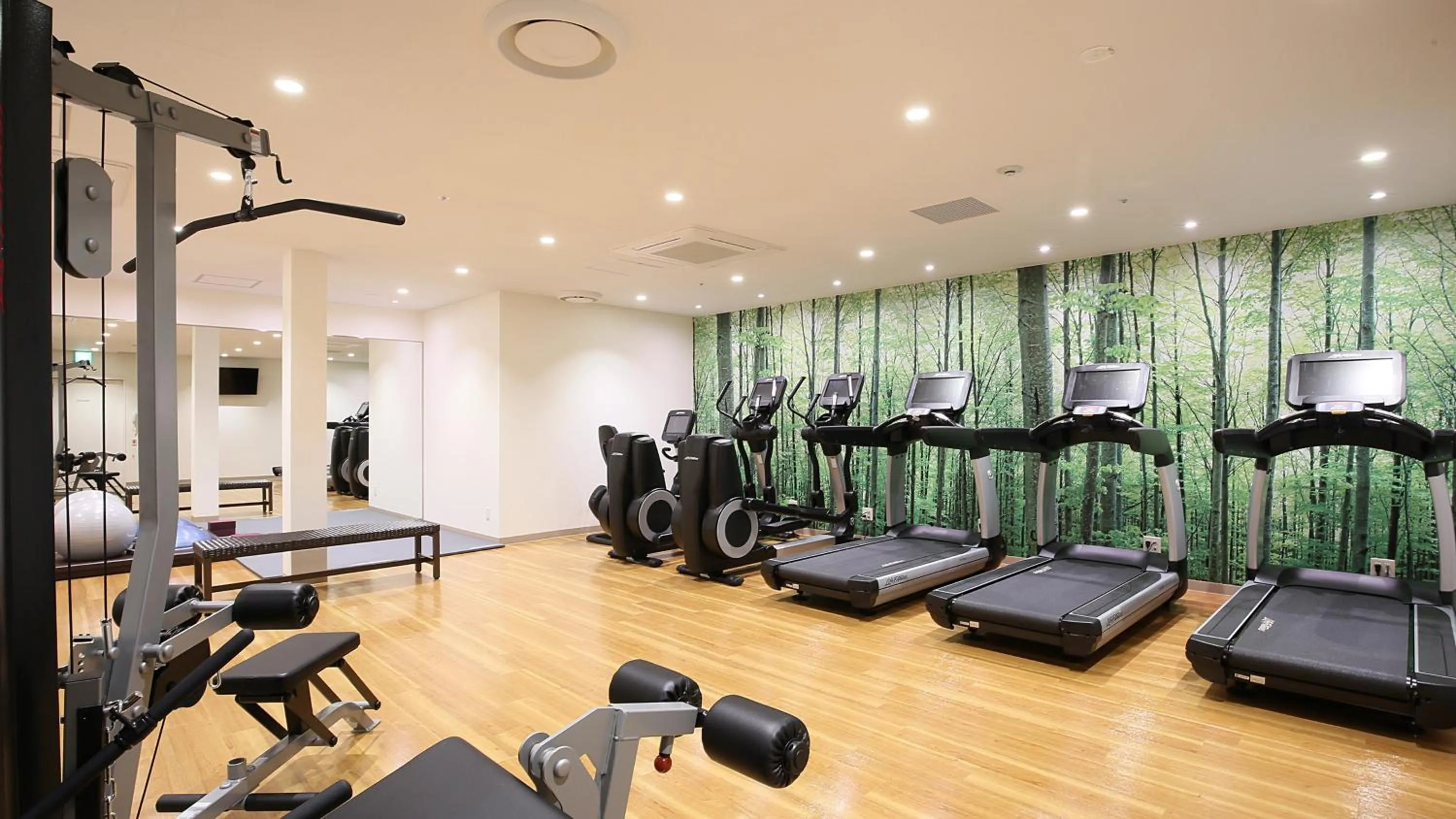 Spa and wellness centre/facilities in ANA Crowne Plaza Sapporo by IHG