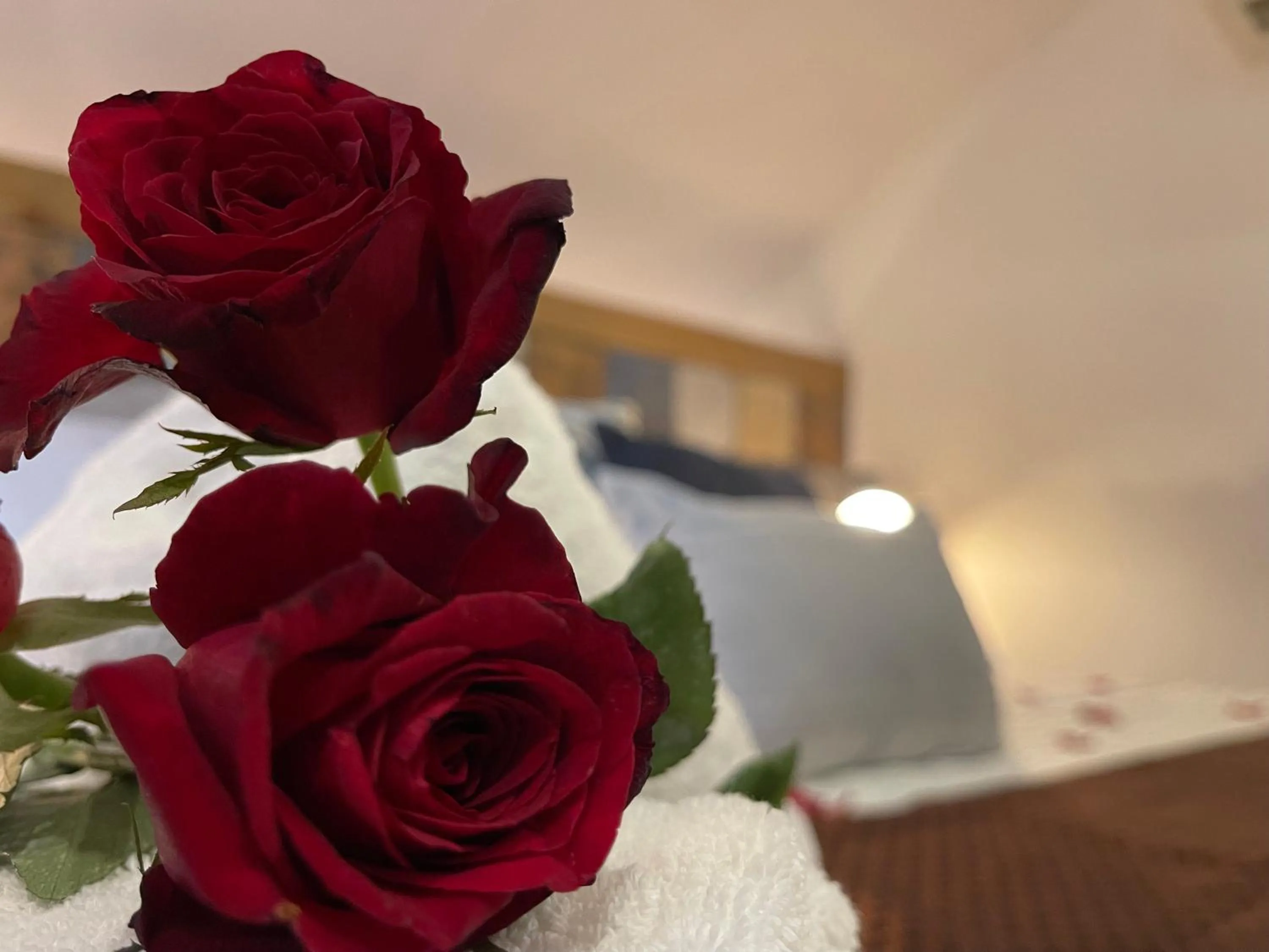 Bed in CLOCKWORKORANGE Luxury Suites