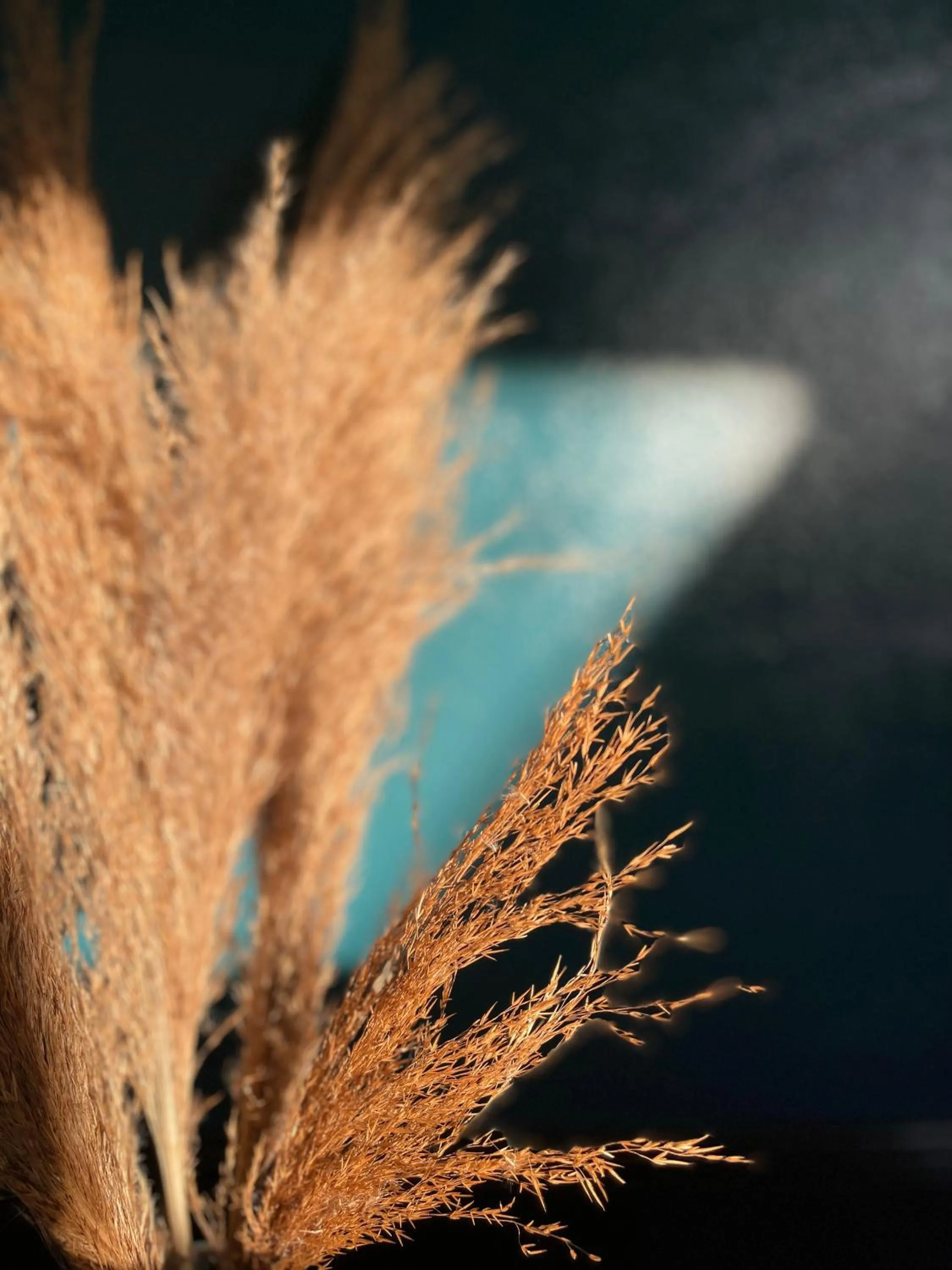 CLOCKWORKORANGE Luxury Suites