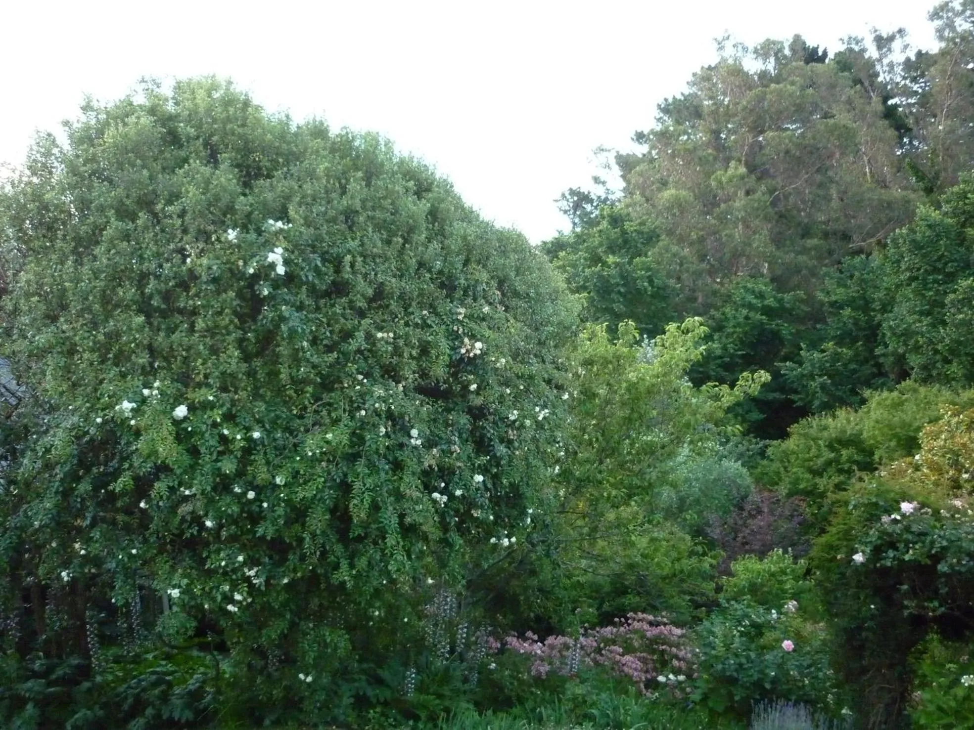 Property building in Cobden Garden