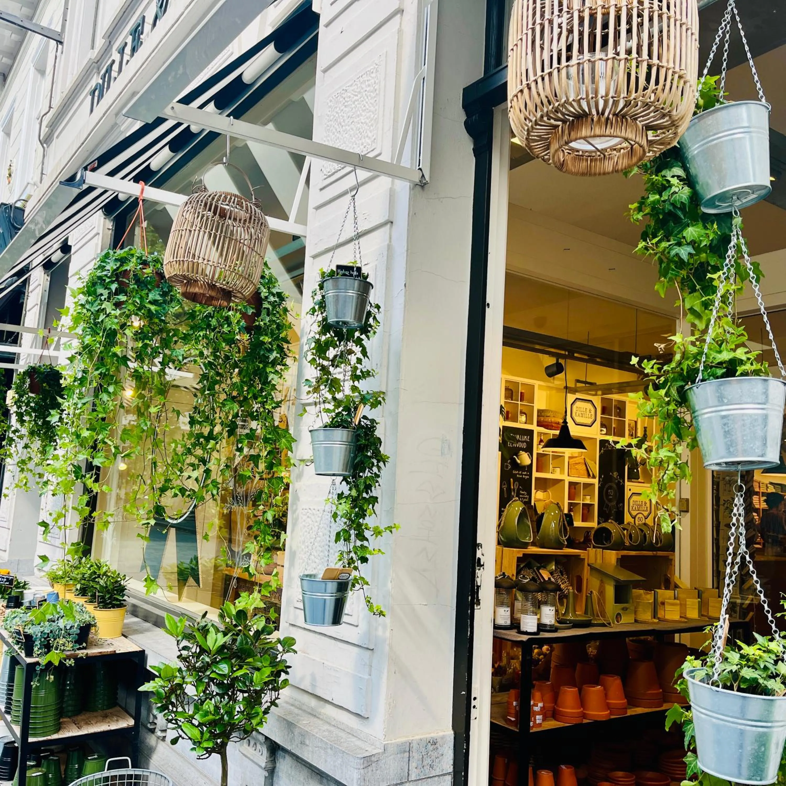 Shopping Area in Hotel Sutor