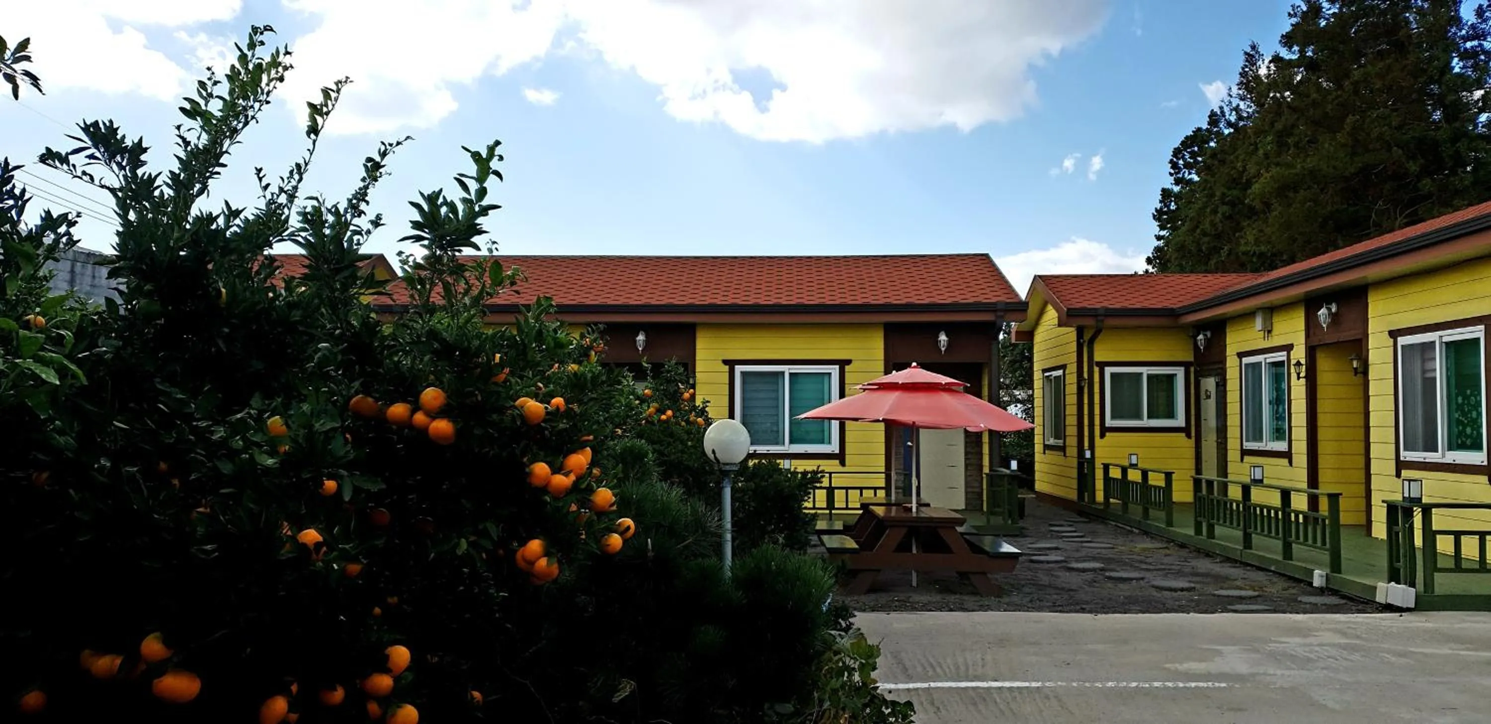 Property building in Brassica Flower Pension