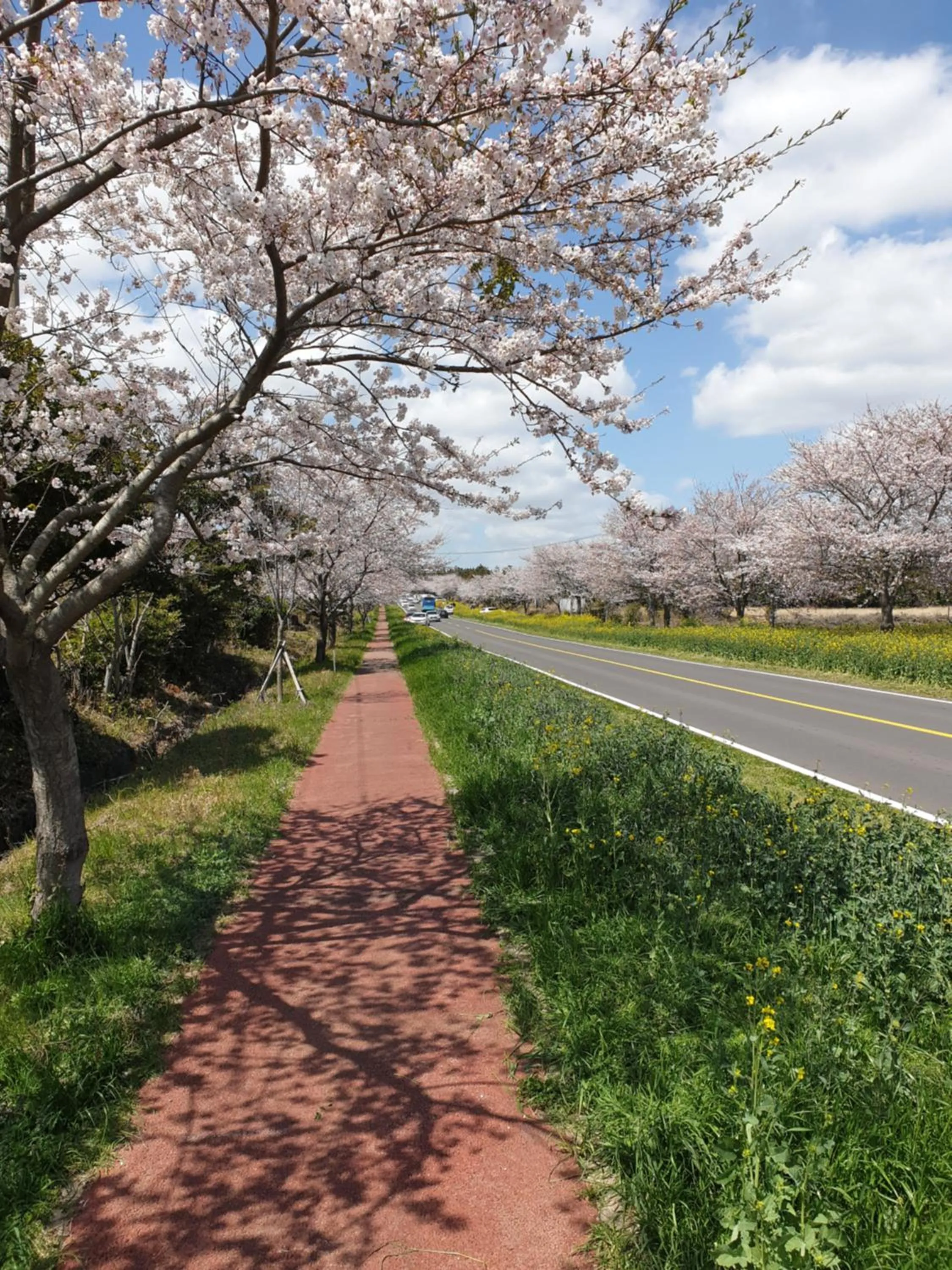 Natural landscape in Brassica Flower Pension