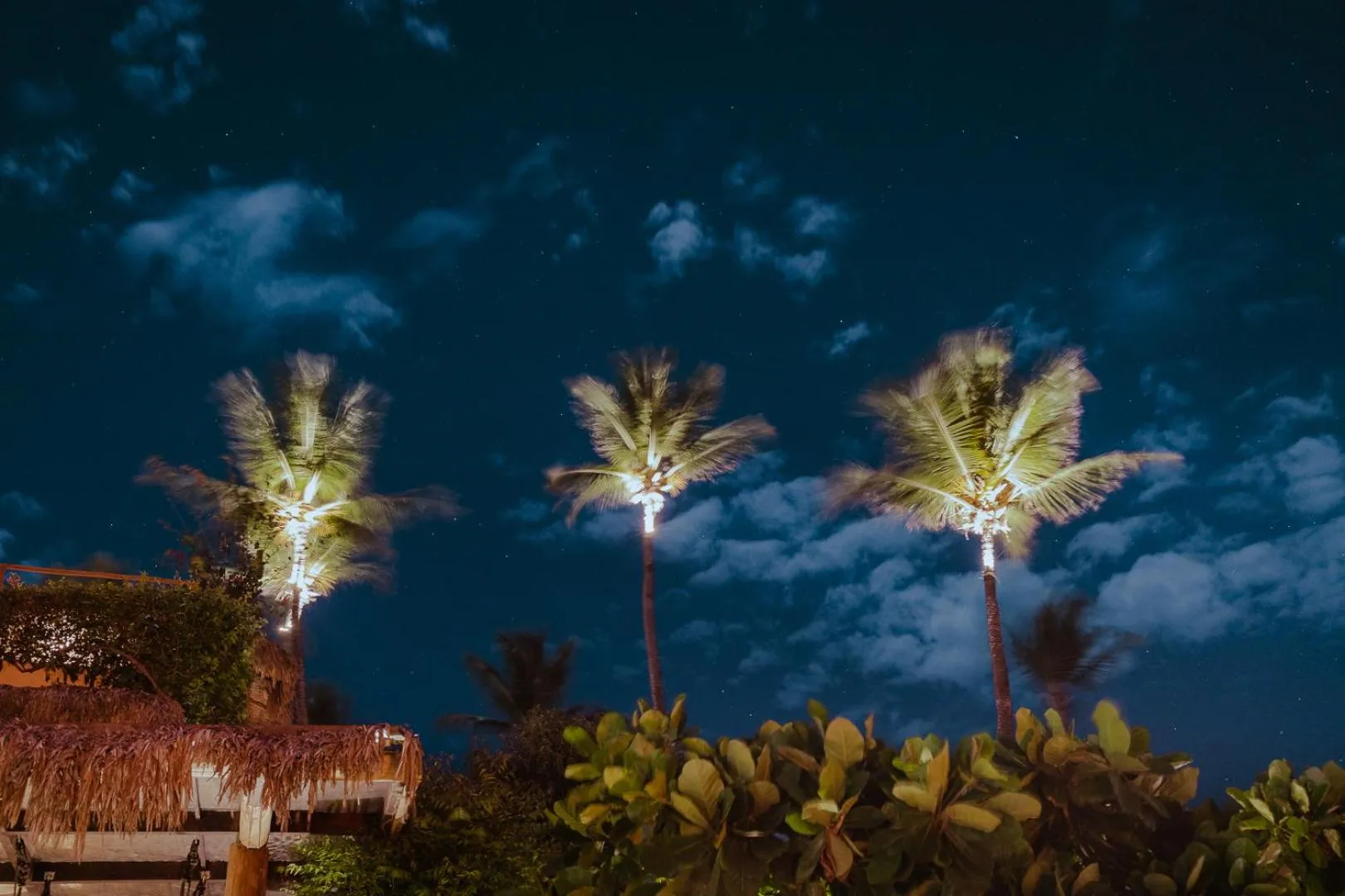 Garden in Casa de Areia