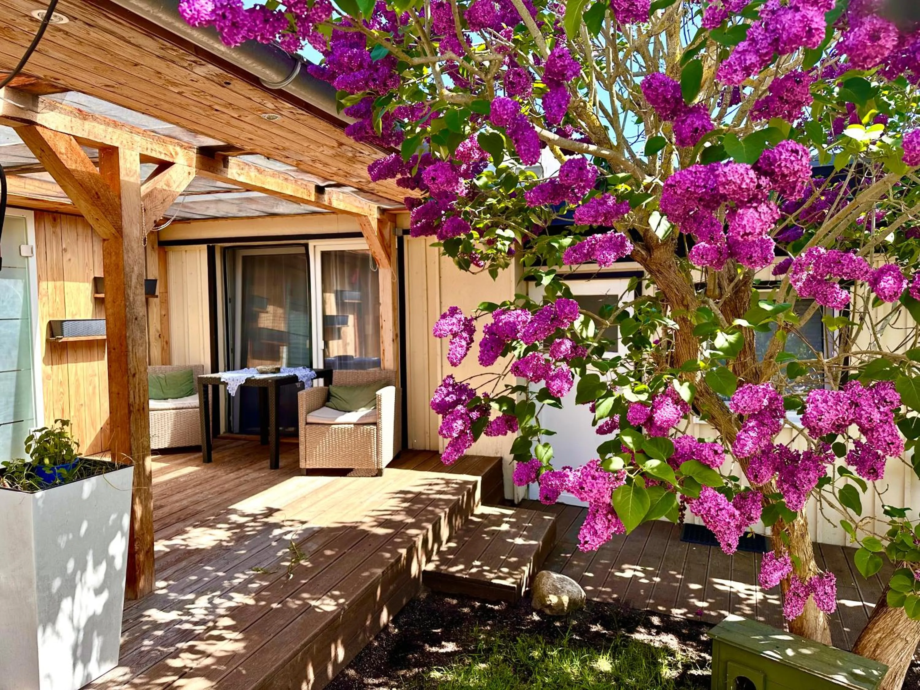 Haus auf der alten Düne