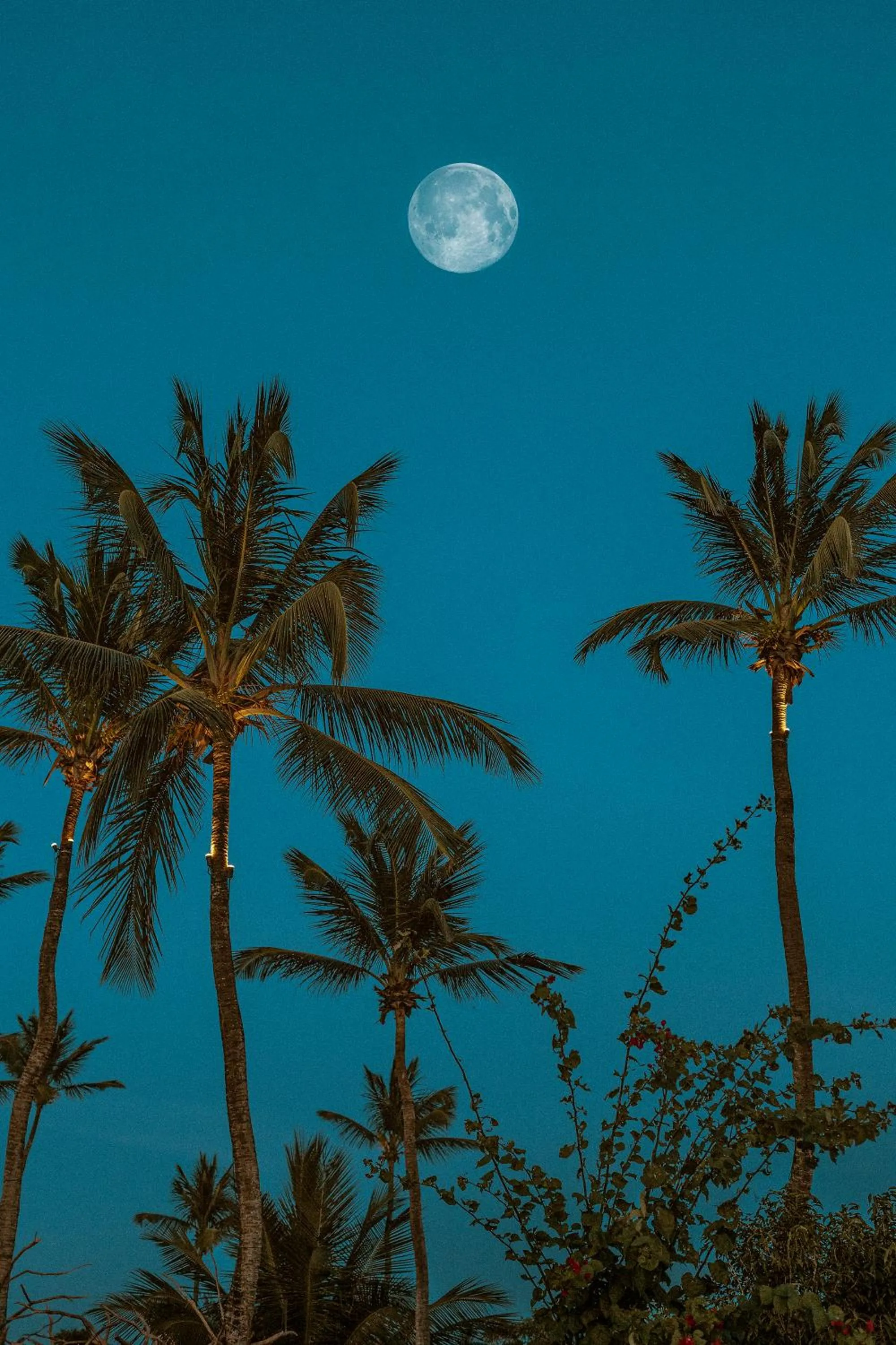 Natural landscape in Casa na Praia