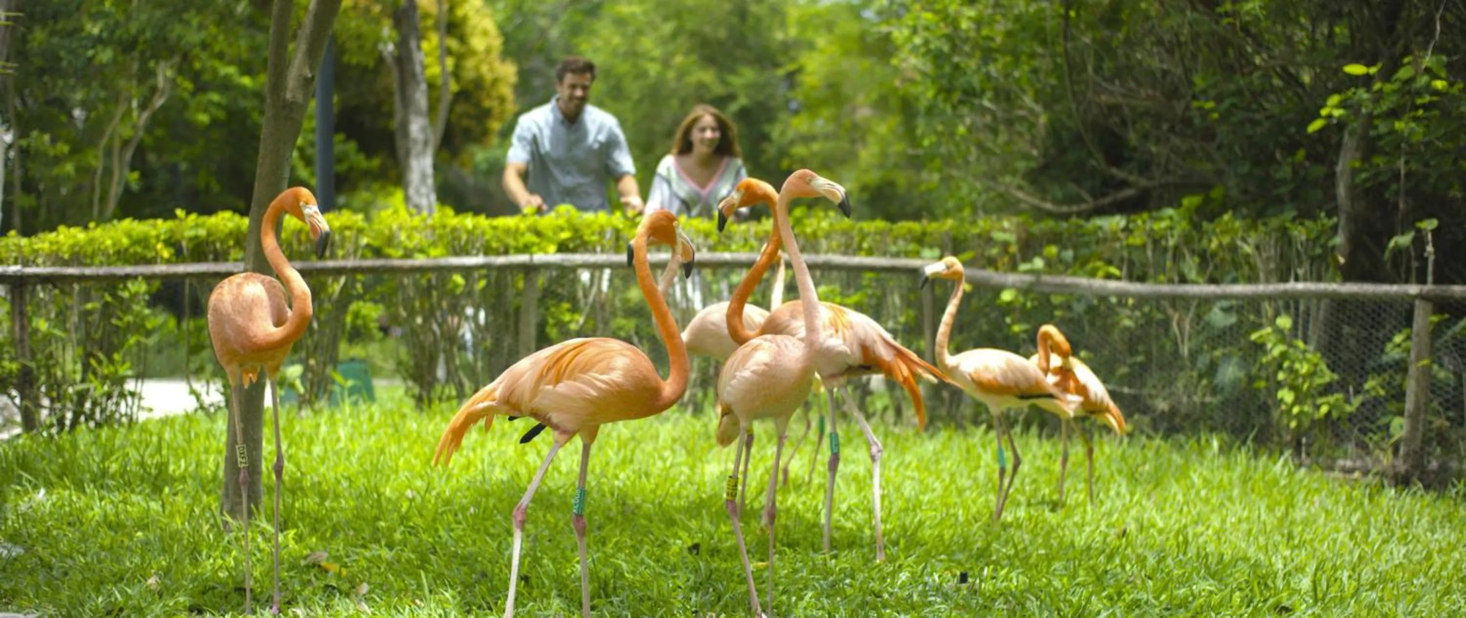 Property building in Occidental at Xcaret Destination - All Inclusive