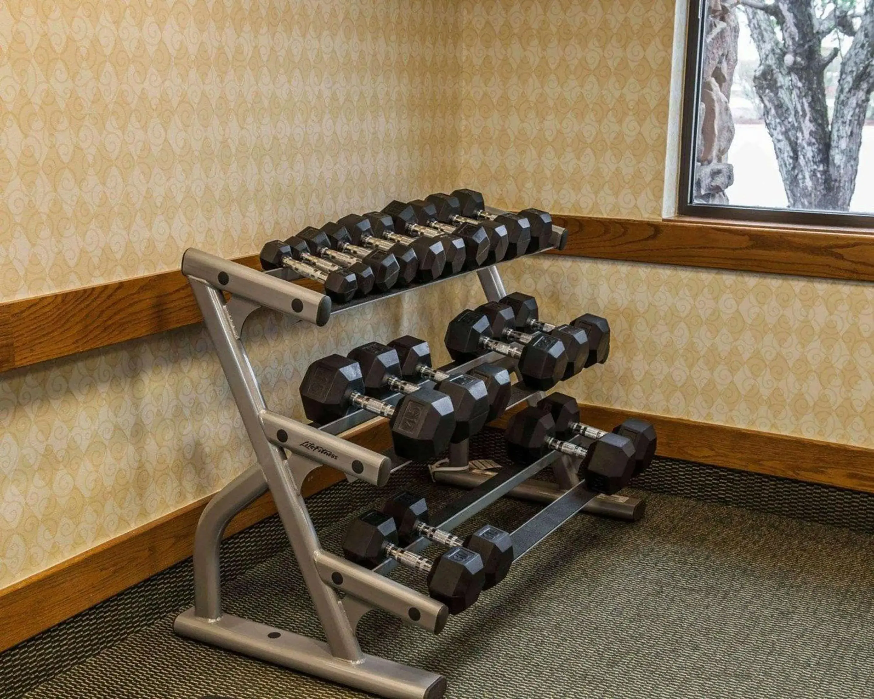 Fitness centre/facilities in Quality Inn & Suites Goshen Fitness centre/facilities in Quality Inn & Suites Goshen