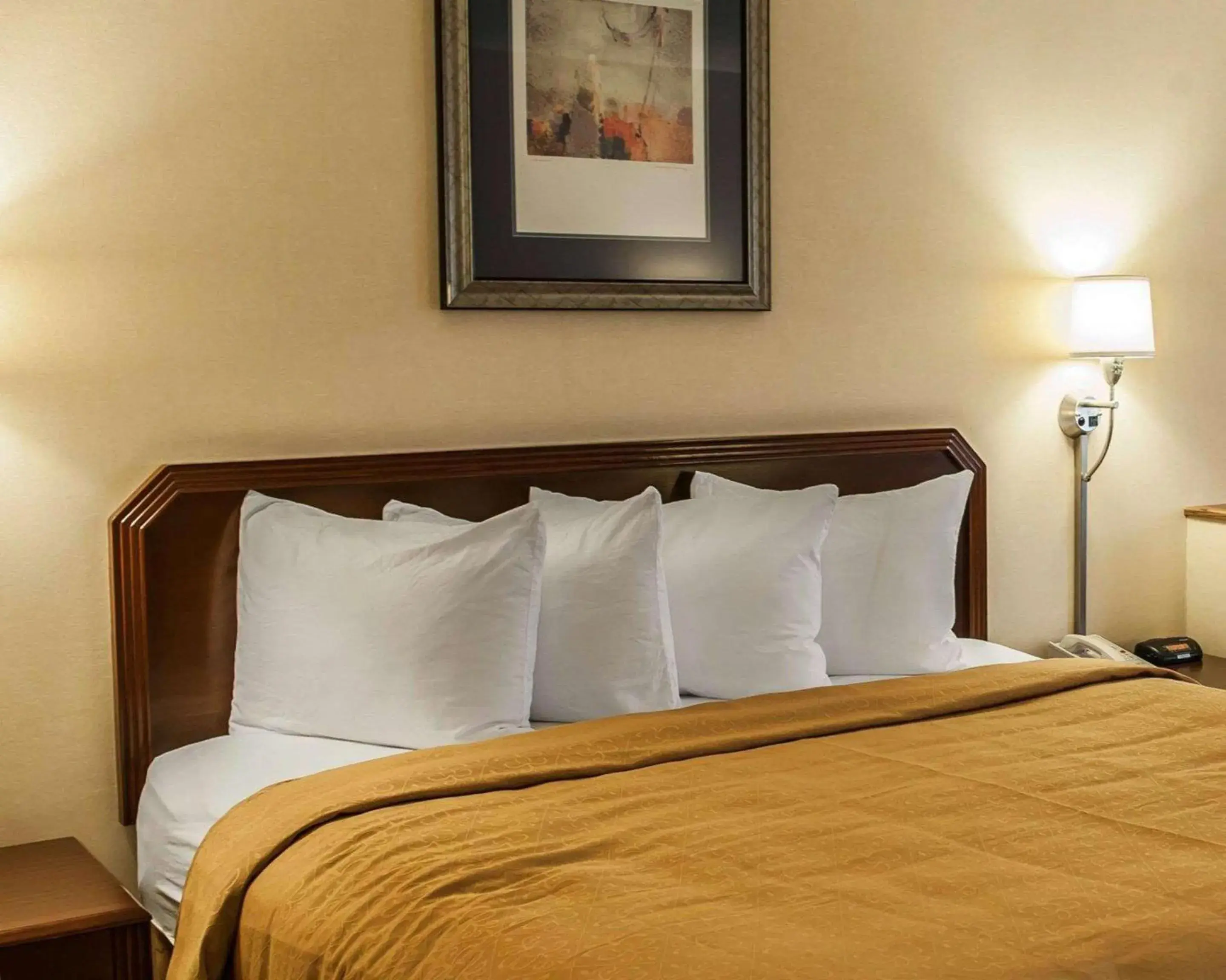 Bedroom, Bed in Quality Inn & Suites Goshen Bedroom, Bed in Quality Inn & Suites Goshen