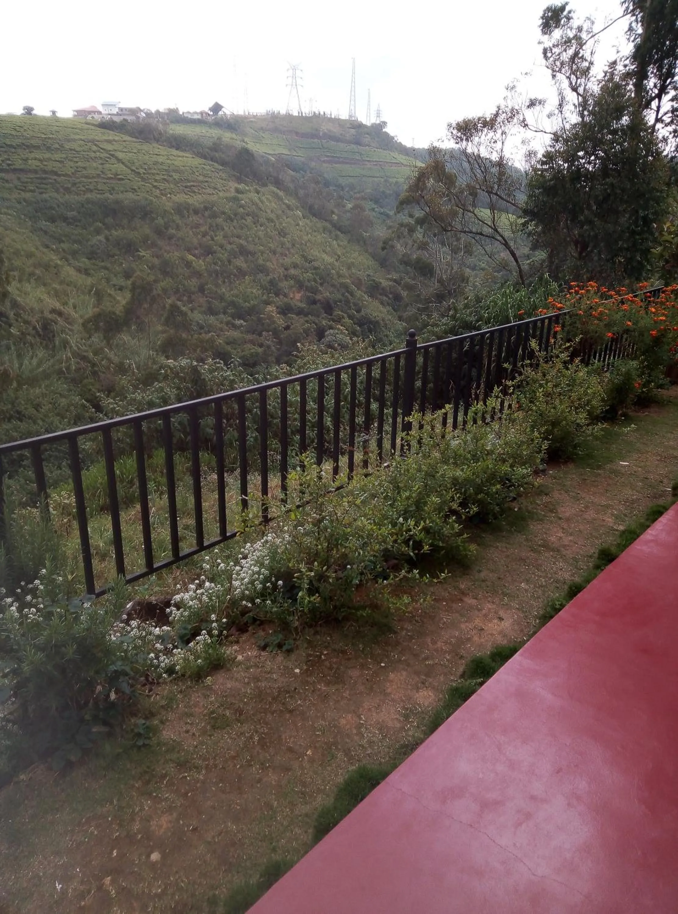 Green Gregory Villa Nuwara Eliya