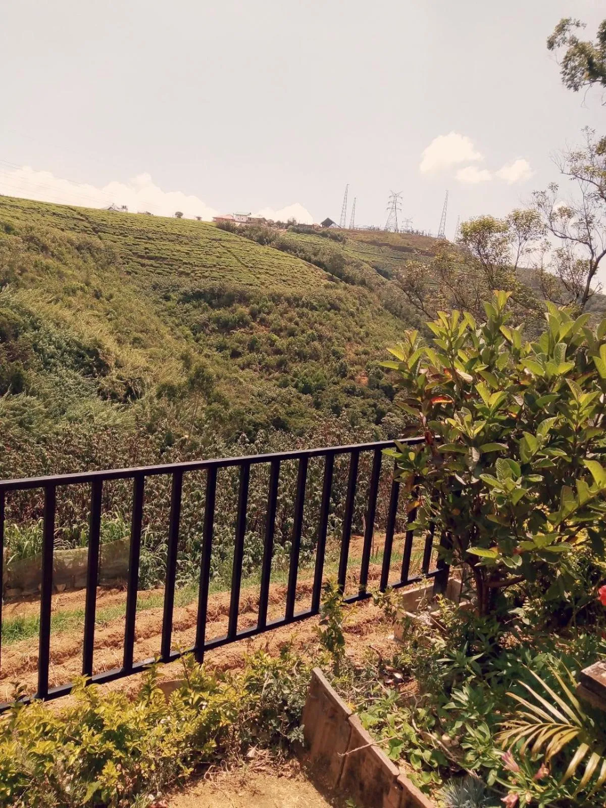 Green Gregory Villa Nuwara Eliya