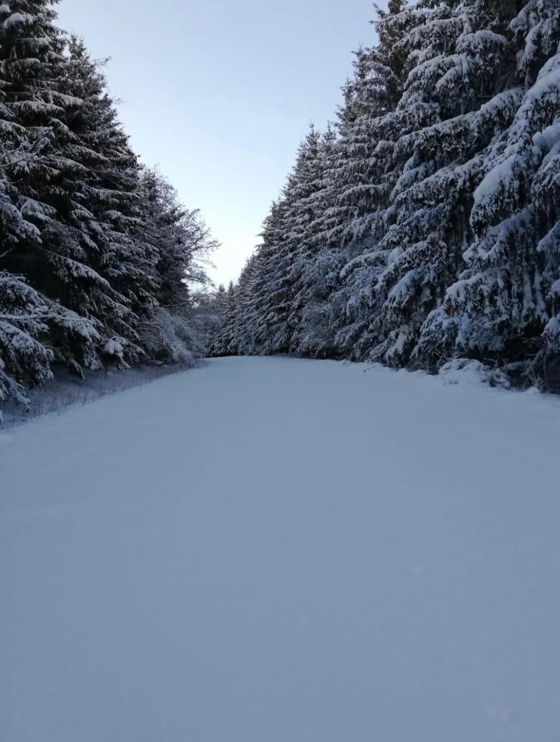Pööl am Nationalpark Eifel