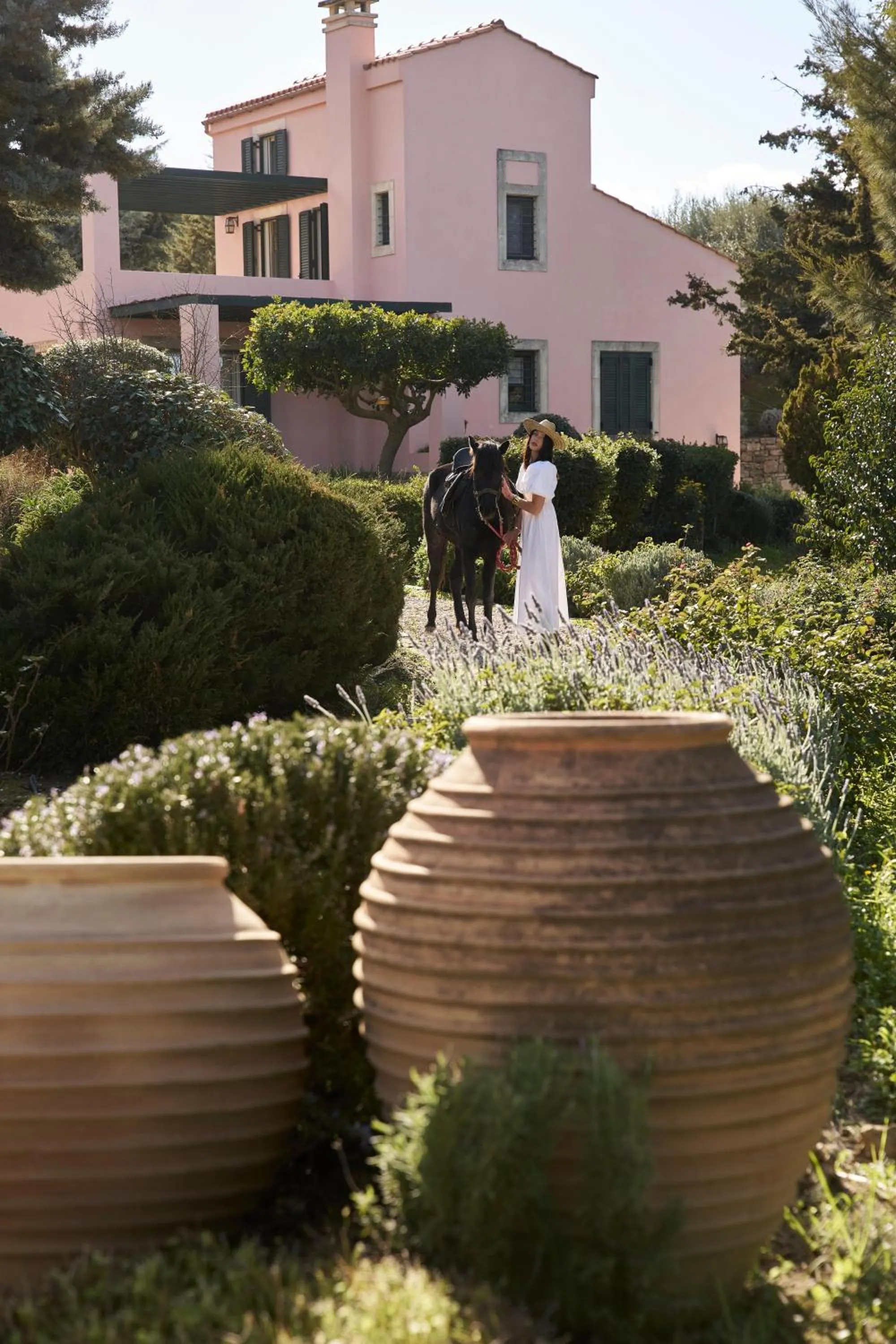Garden in Eliathos Hillside Retreat