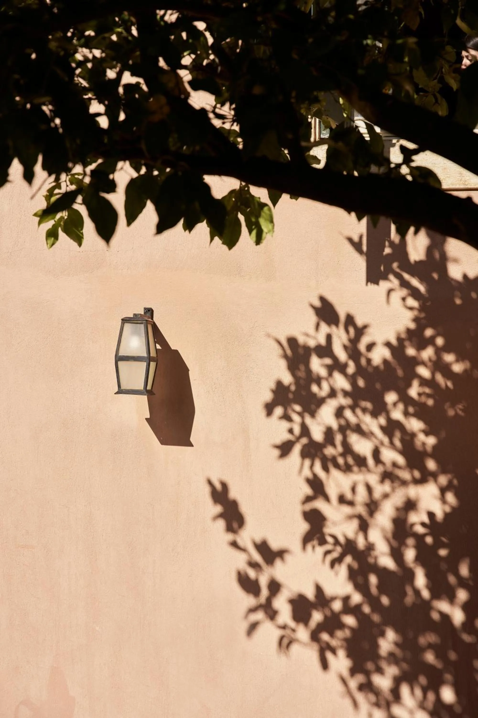 Pets in Eliathos Hillside Retreat