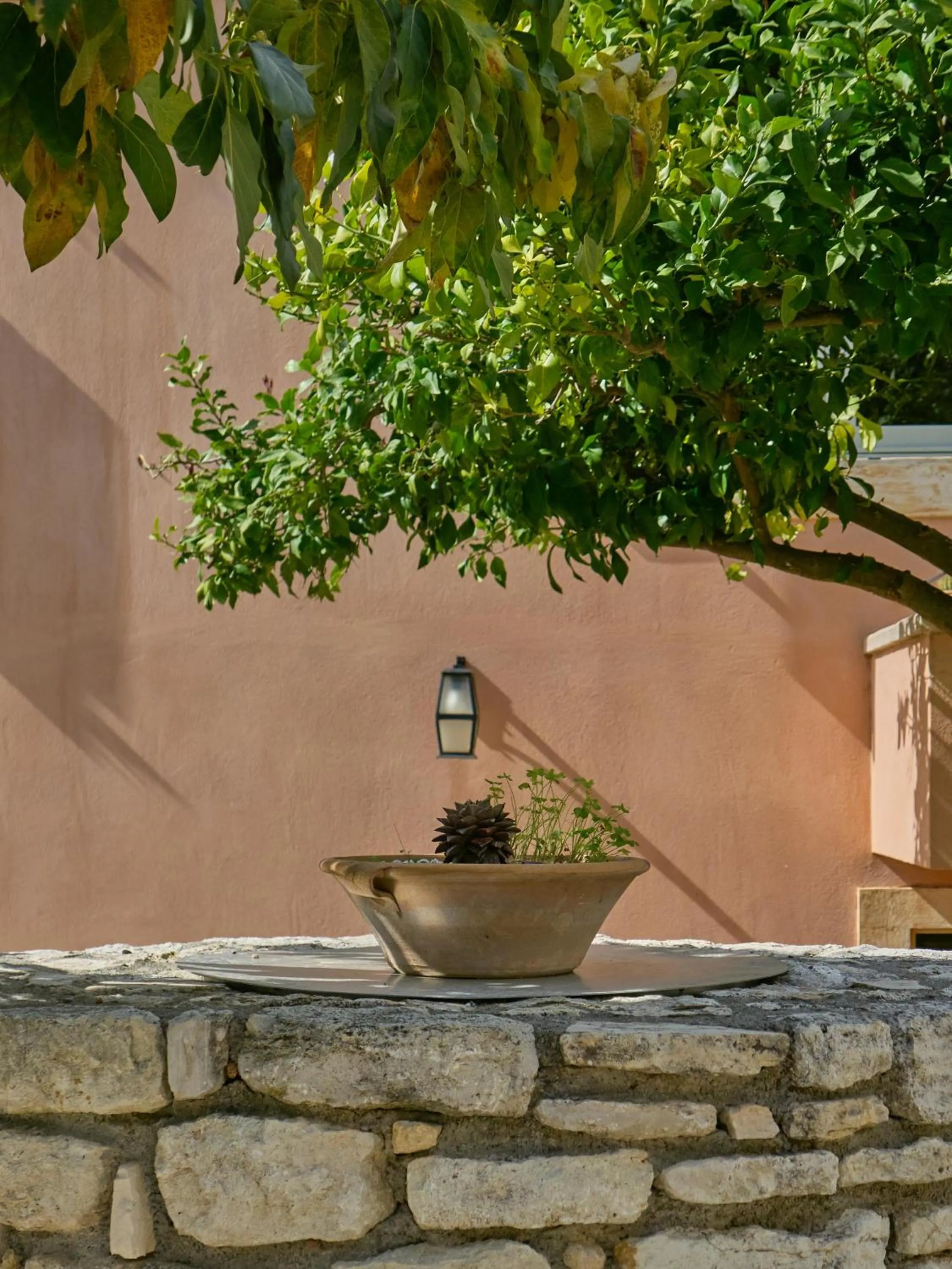 Garden in Eliathos Hillside Retreat
