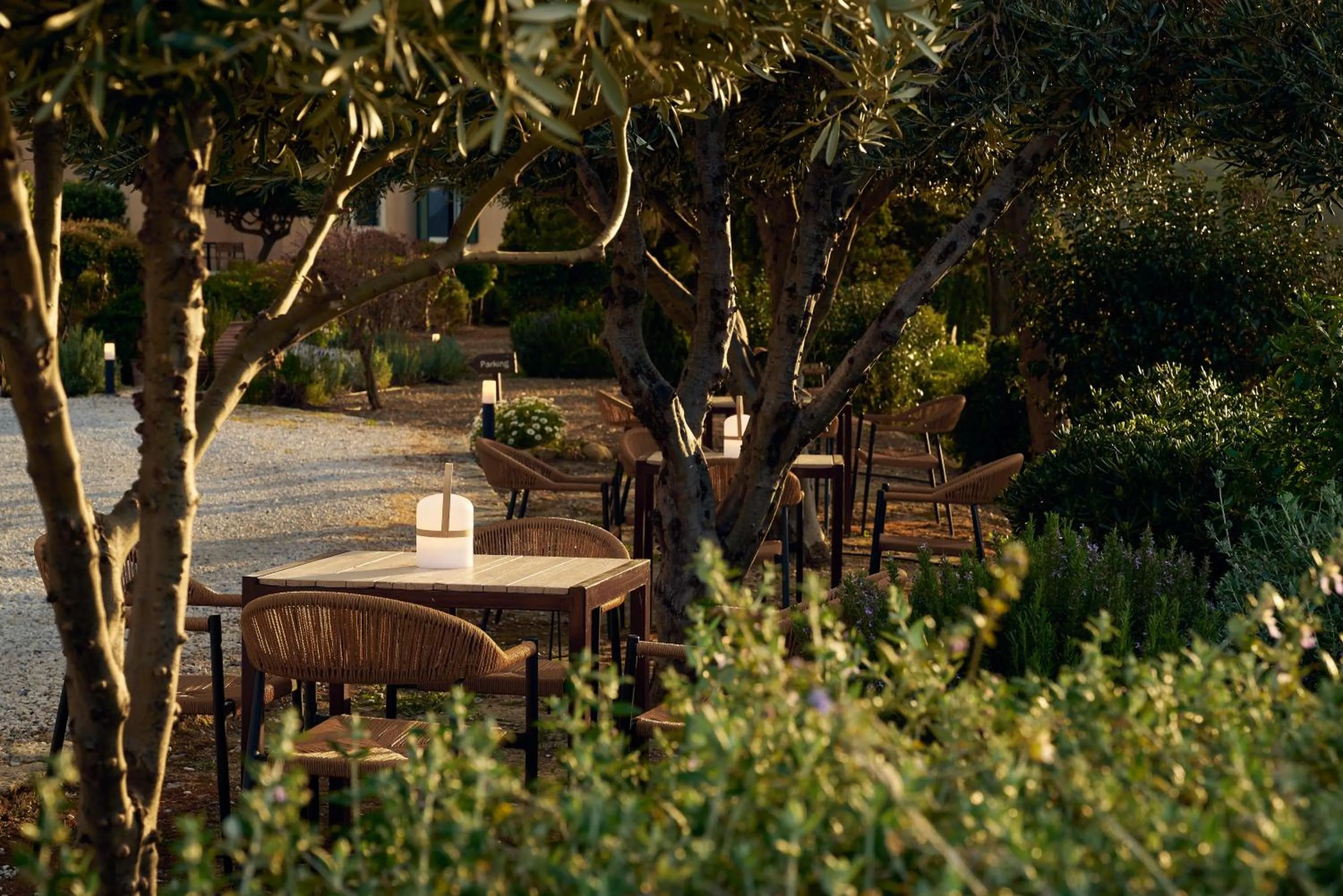 Garden in Eliathos Hillside Retreat