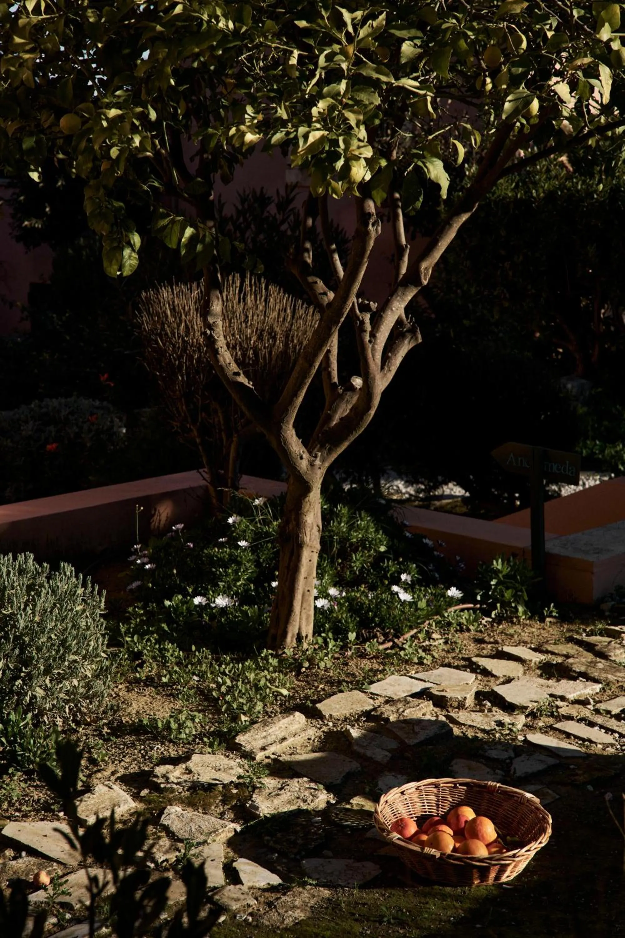 Balcony/Terrace in Eliathos Hillside Retreat