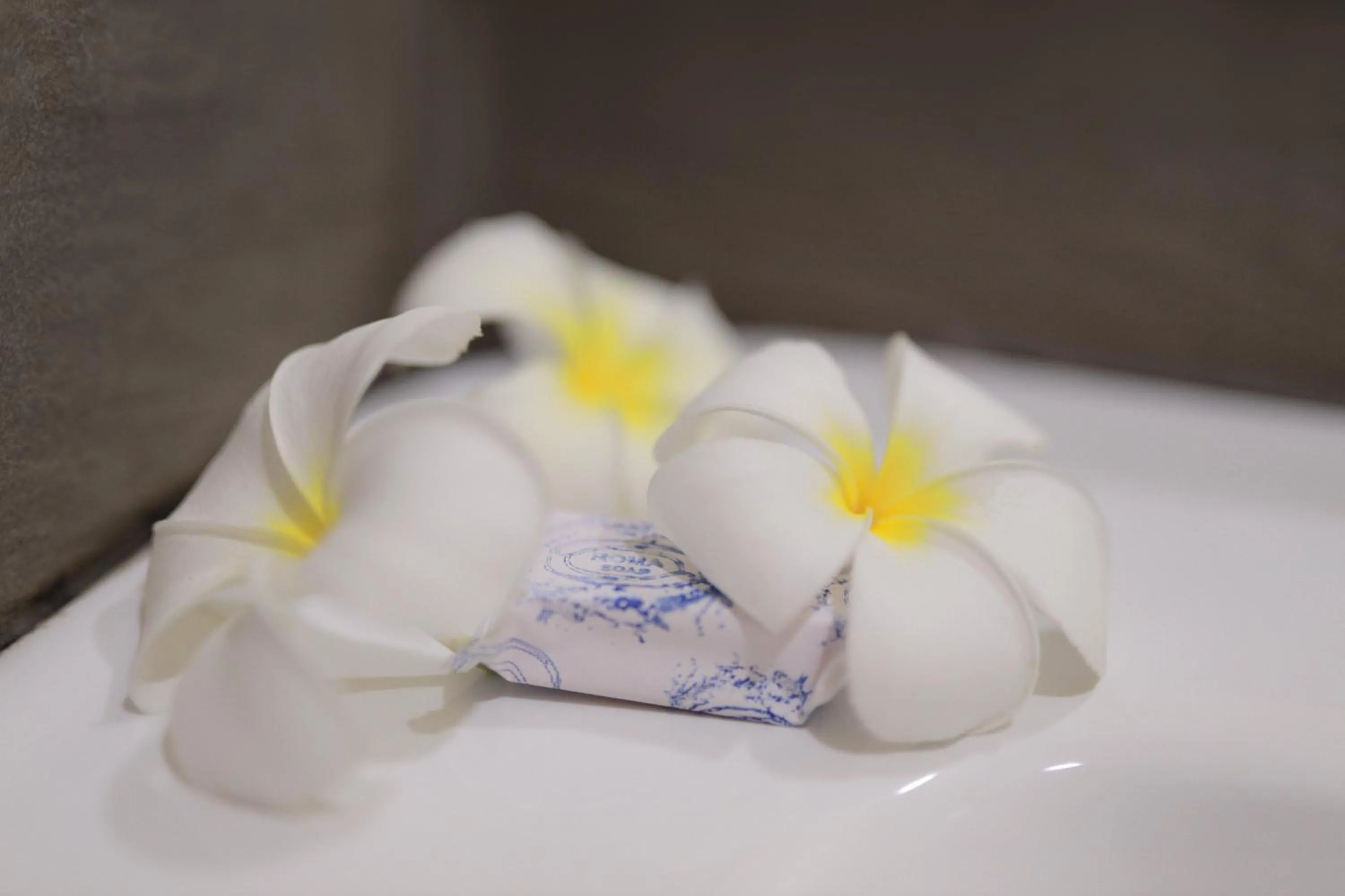 Decorative detail in D Plus B&B Negombo