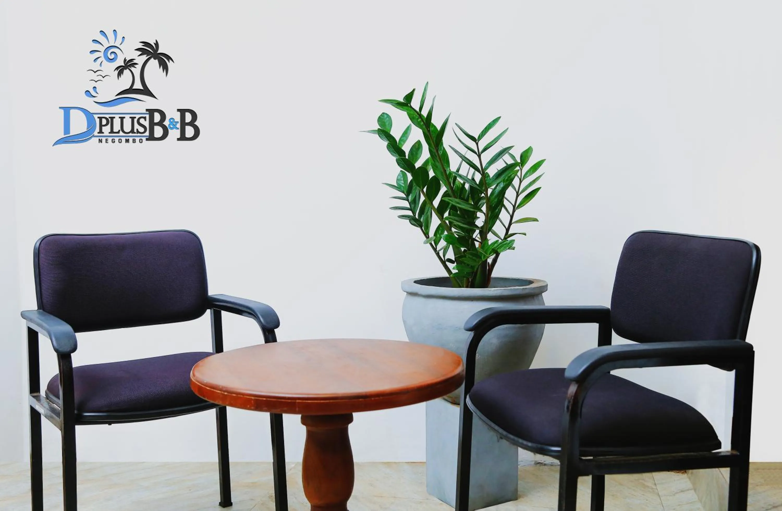 Area and facilities in D Plus B&B Negombo