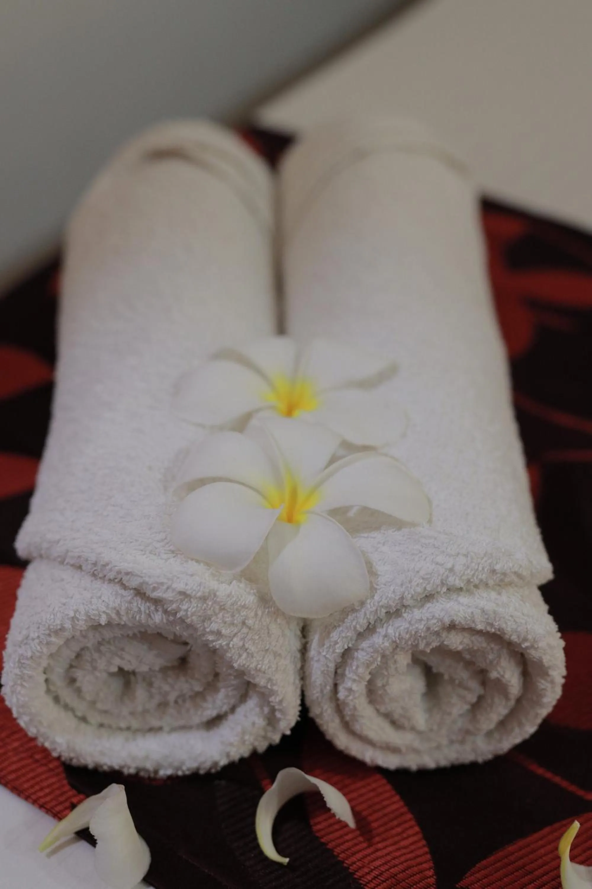 towels in D Plus B&B Negombo