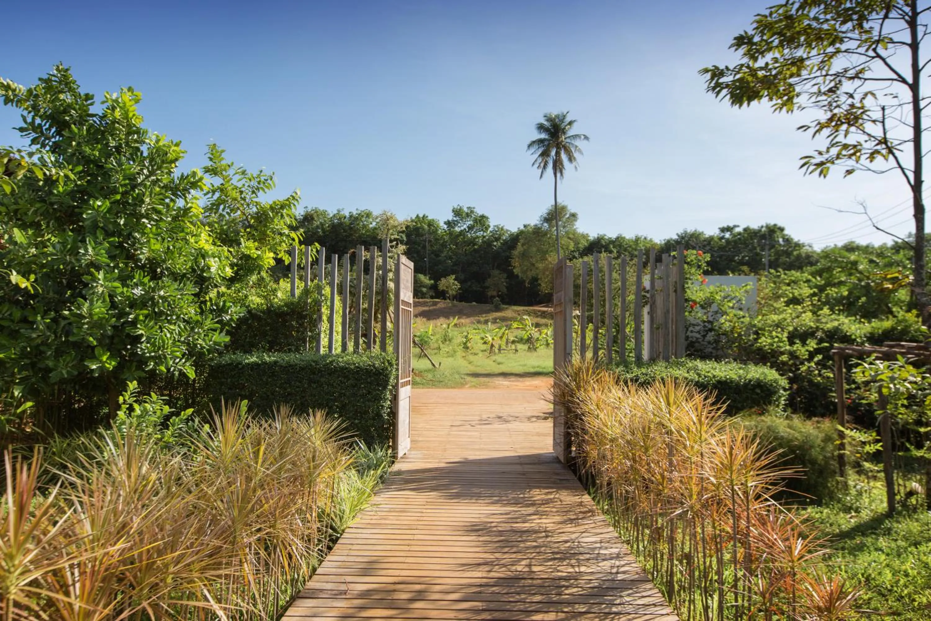 Garden in Mira Montra Resort Koh Mak