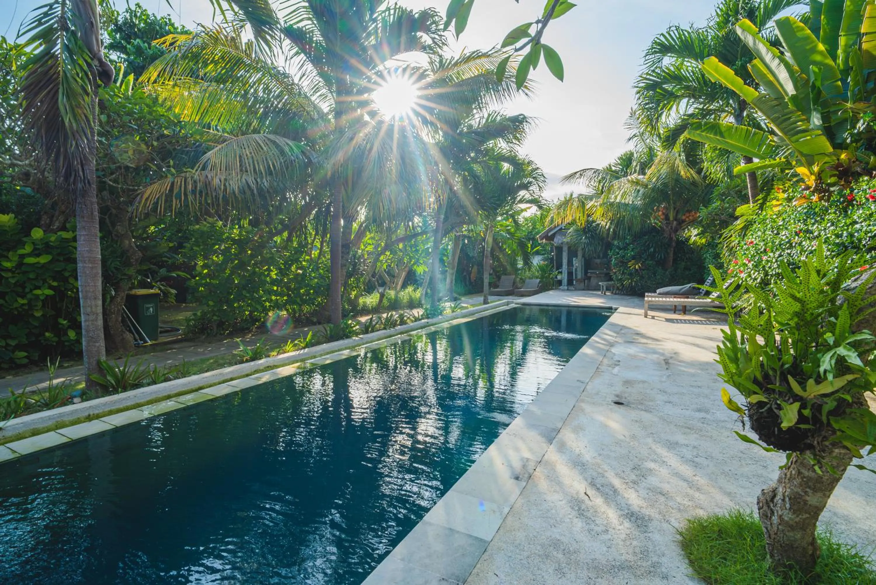 Mangga Wangga Living