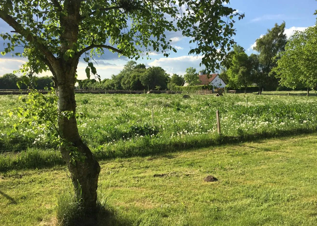 Facade/entrance in Hørhaven B&B