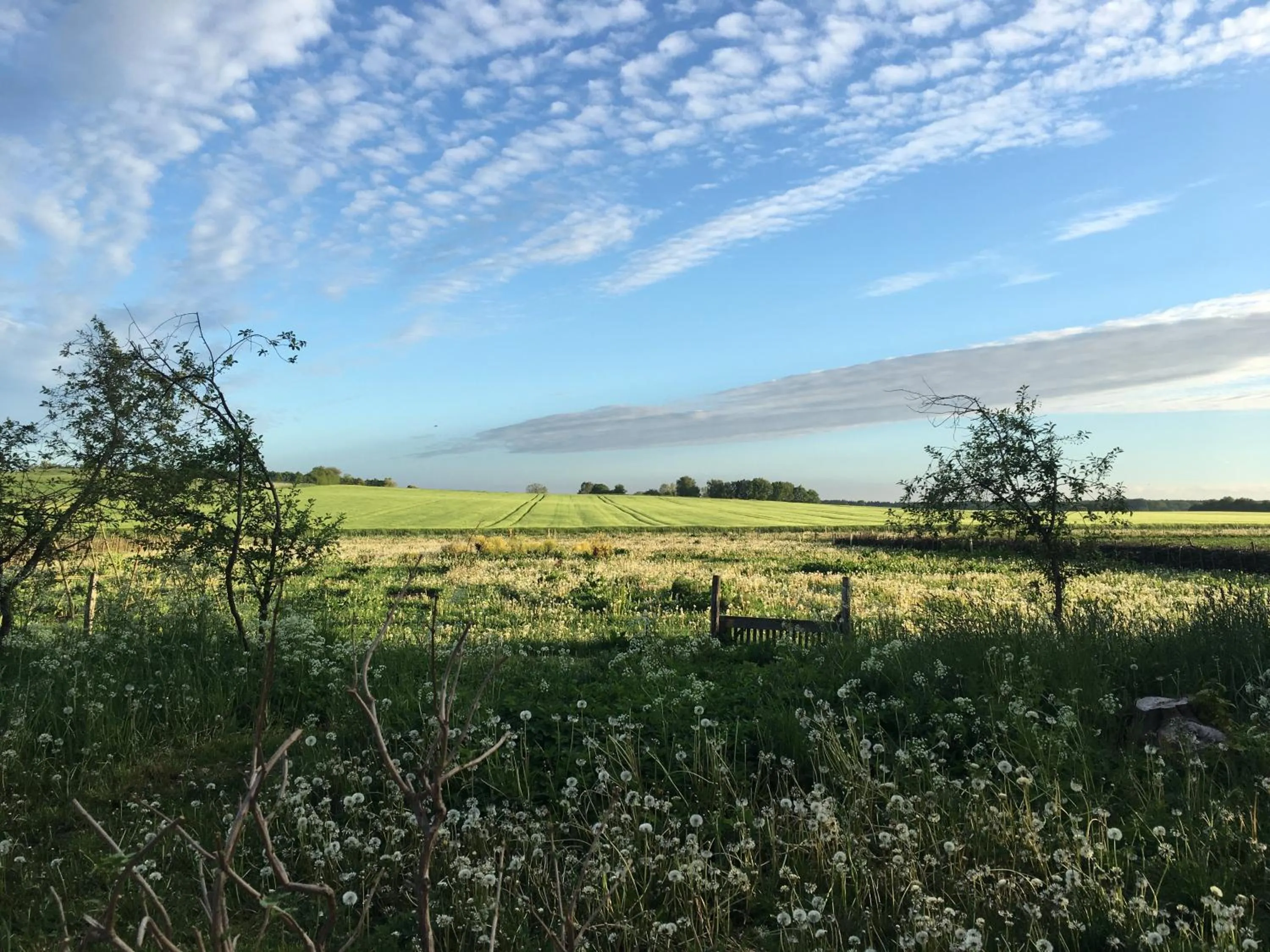 Off site in Hørhaven B&B