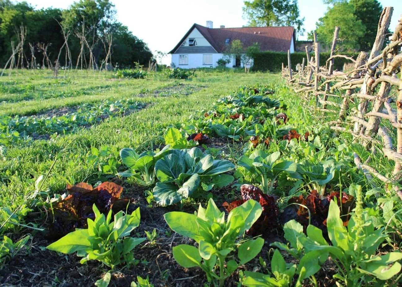 Garden in Hørhaven B&B